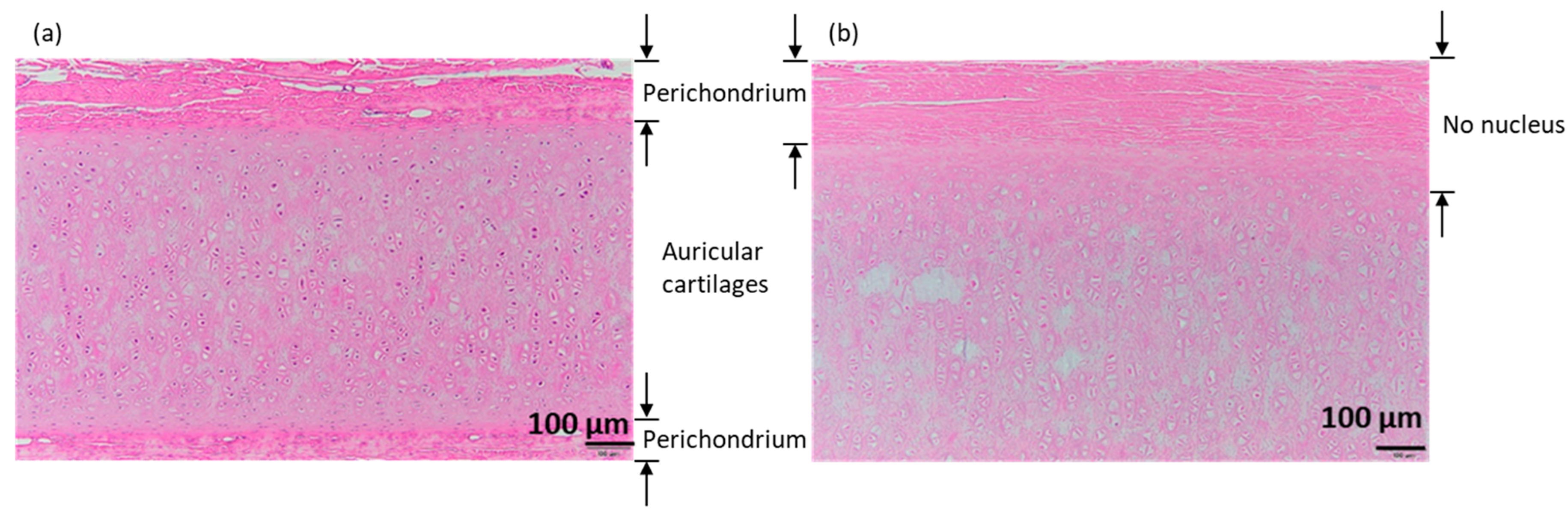 Materials 16 03172 g006 Materials 16 03172 g006