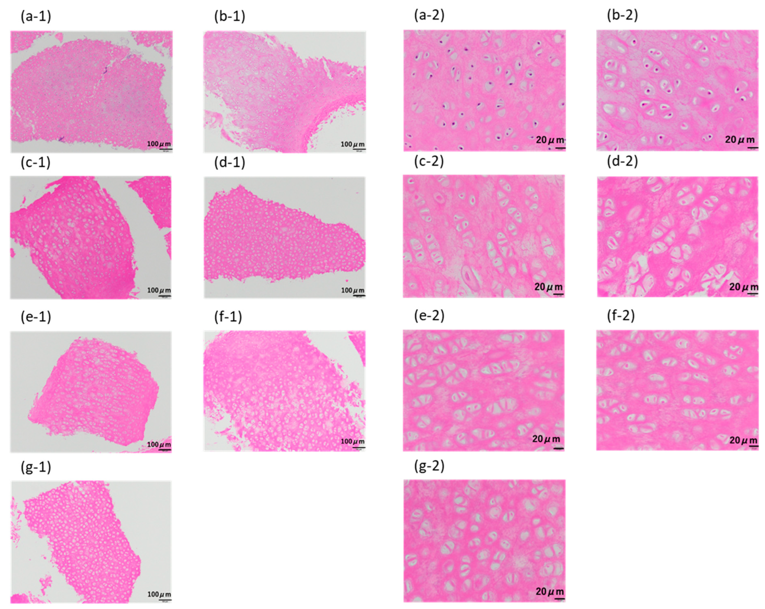 Materials 16 03172 g007 Materials 16 03172 g007