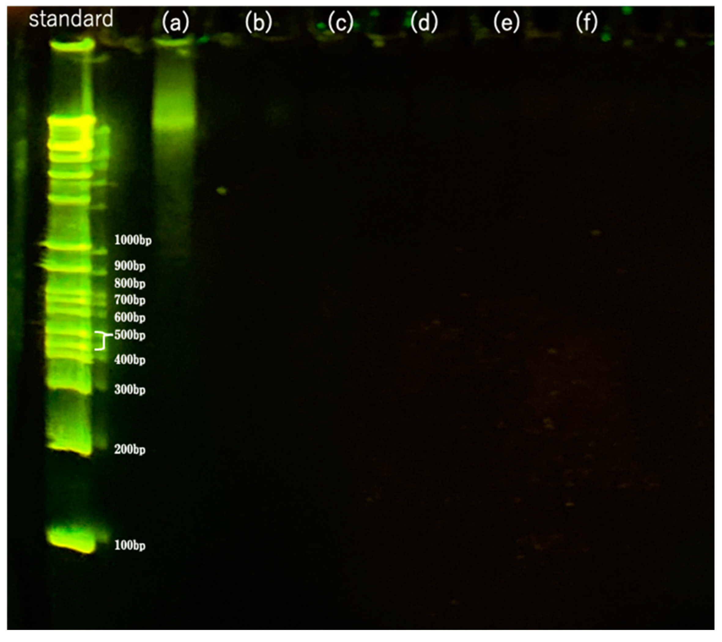 Materials 16 03172 g009 Materials 16 03172 g009