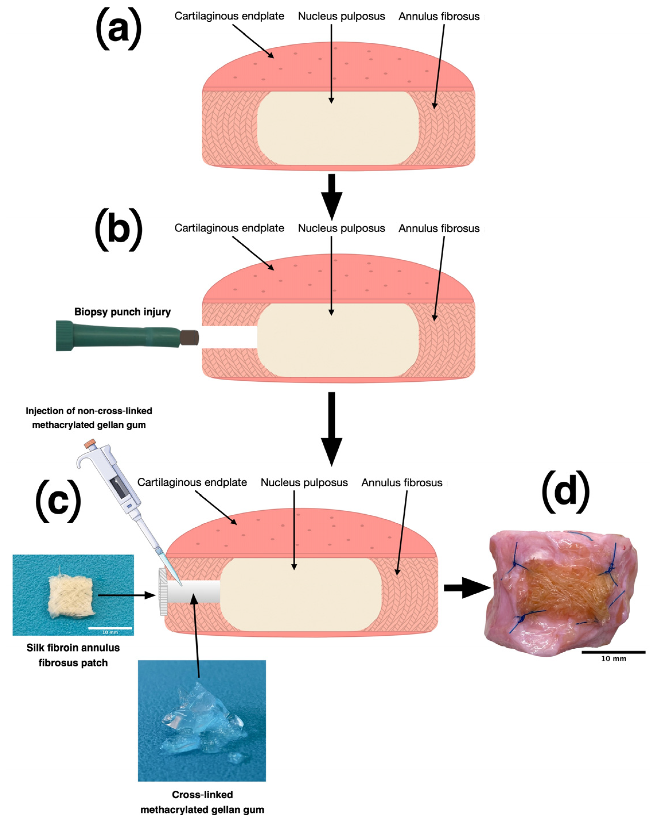 Materials 16 03173 g001 Materials 16 03173 g001
