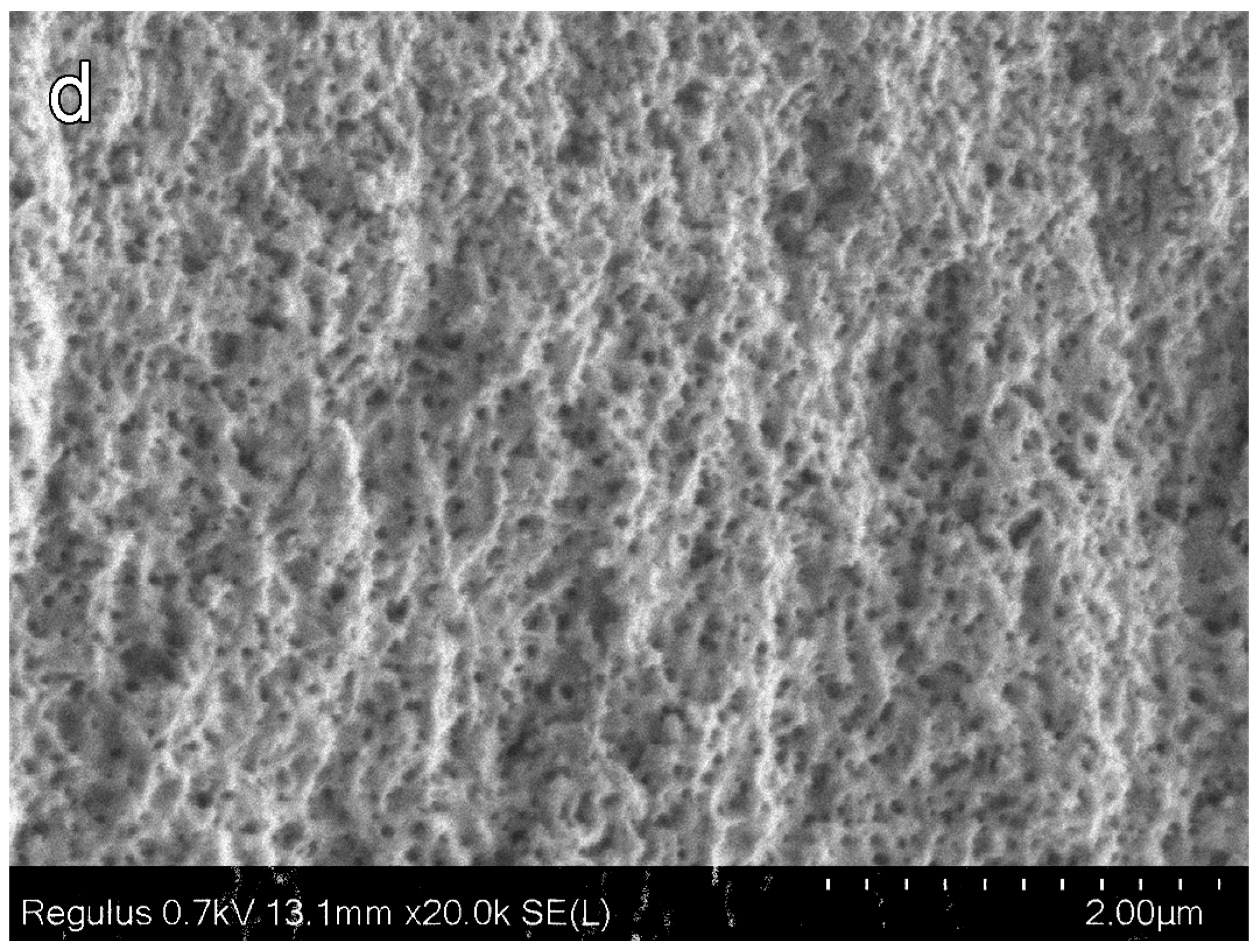 Materials 16 03177 g004b