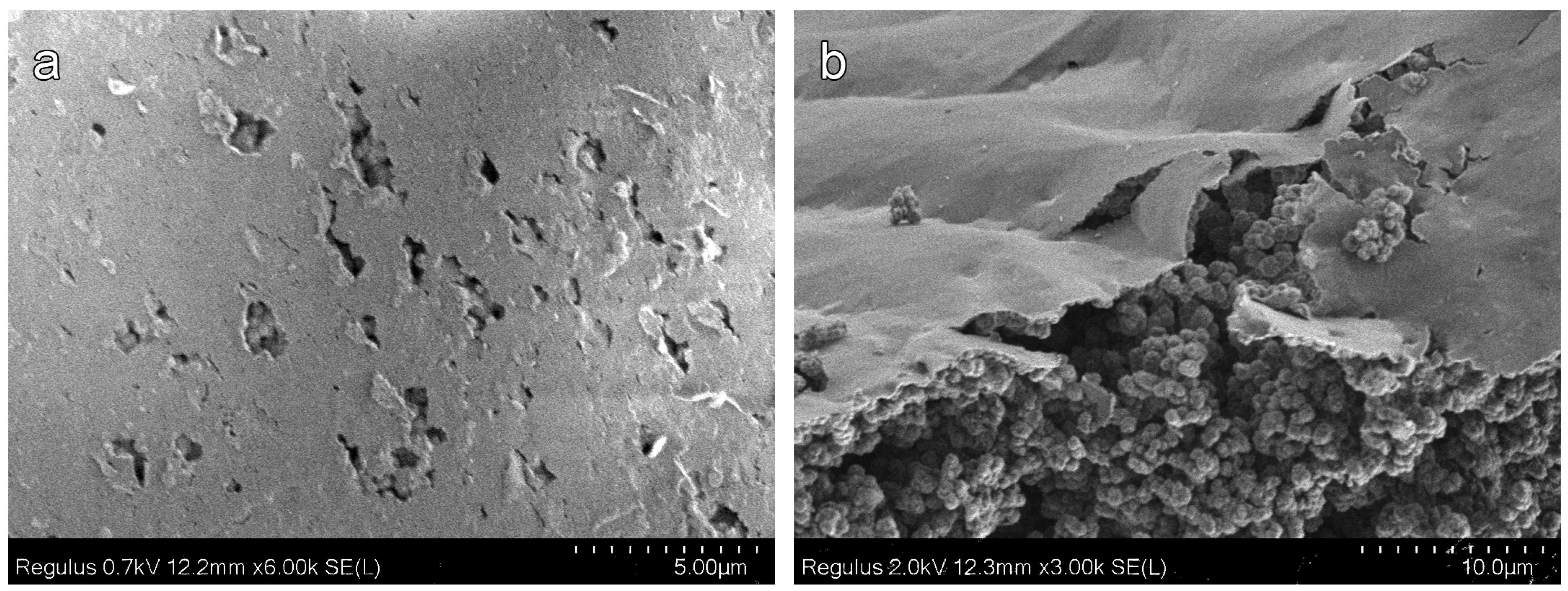 Materials 16 03177 g008