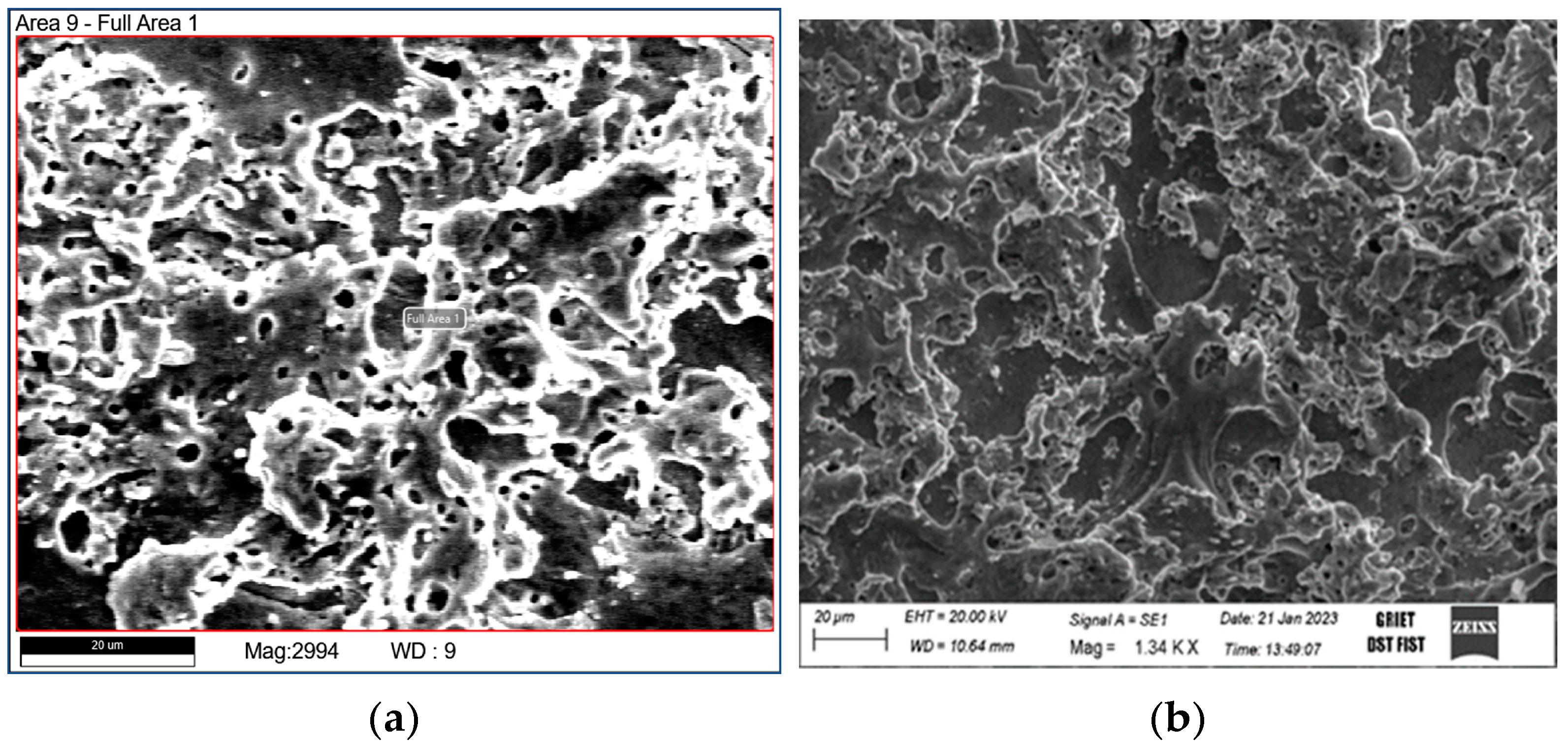 Materials 16 03181 g003