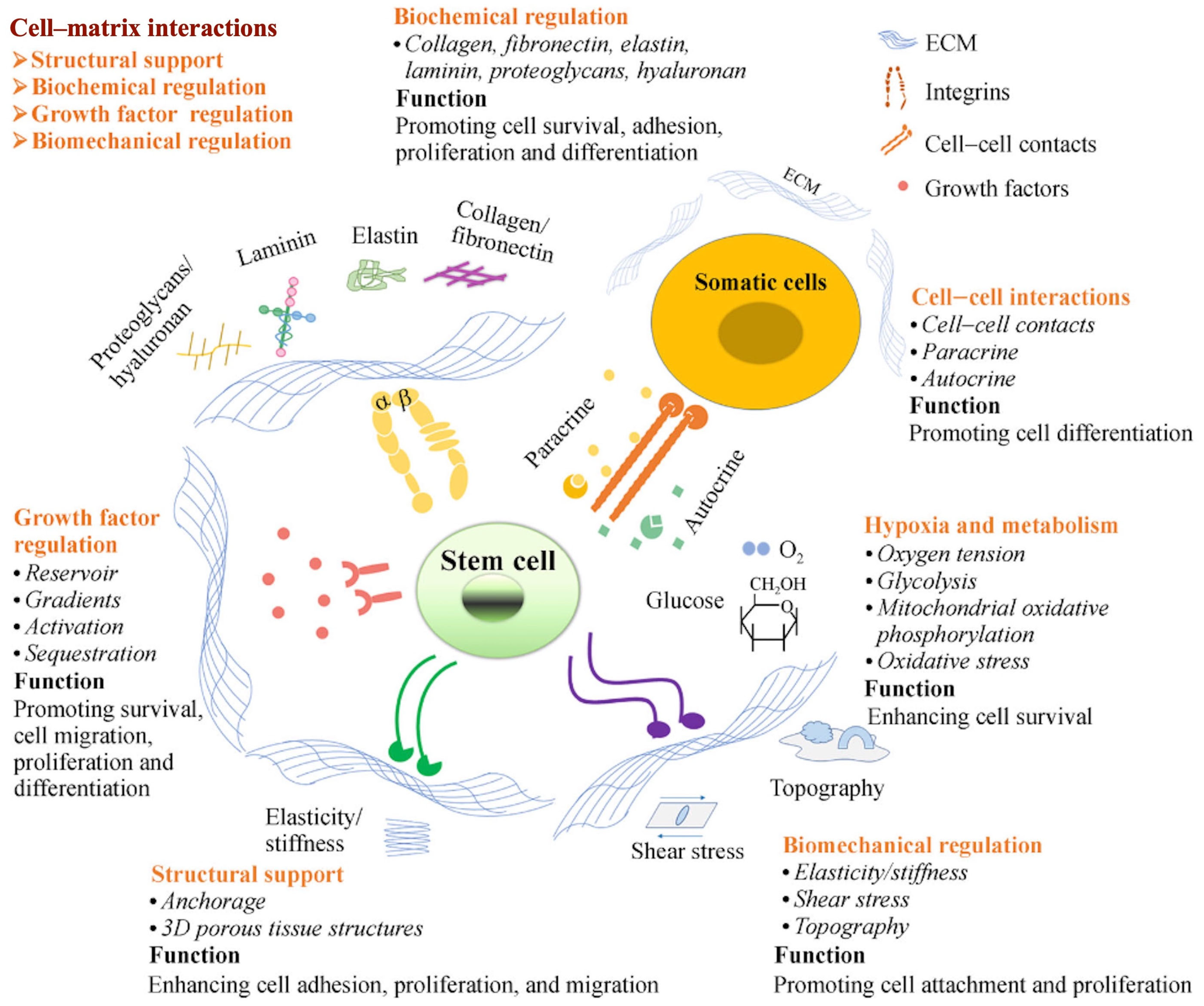 Materials 16 03197 g003
