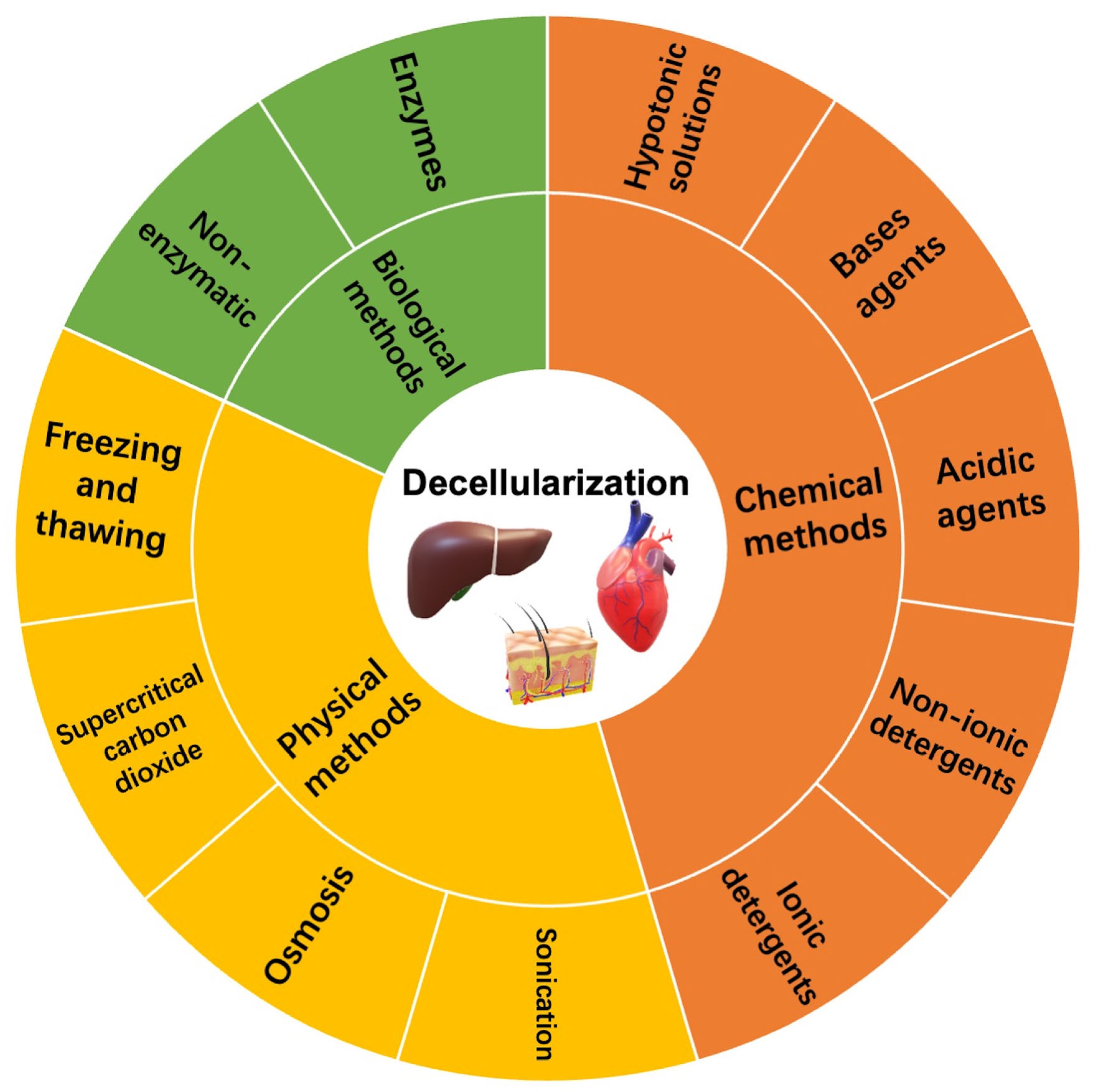 Materials 16 03197 g004