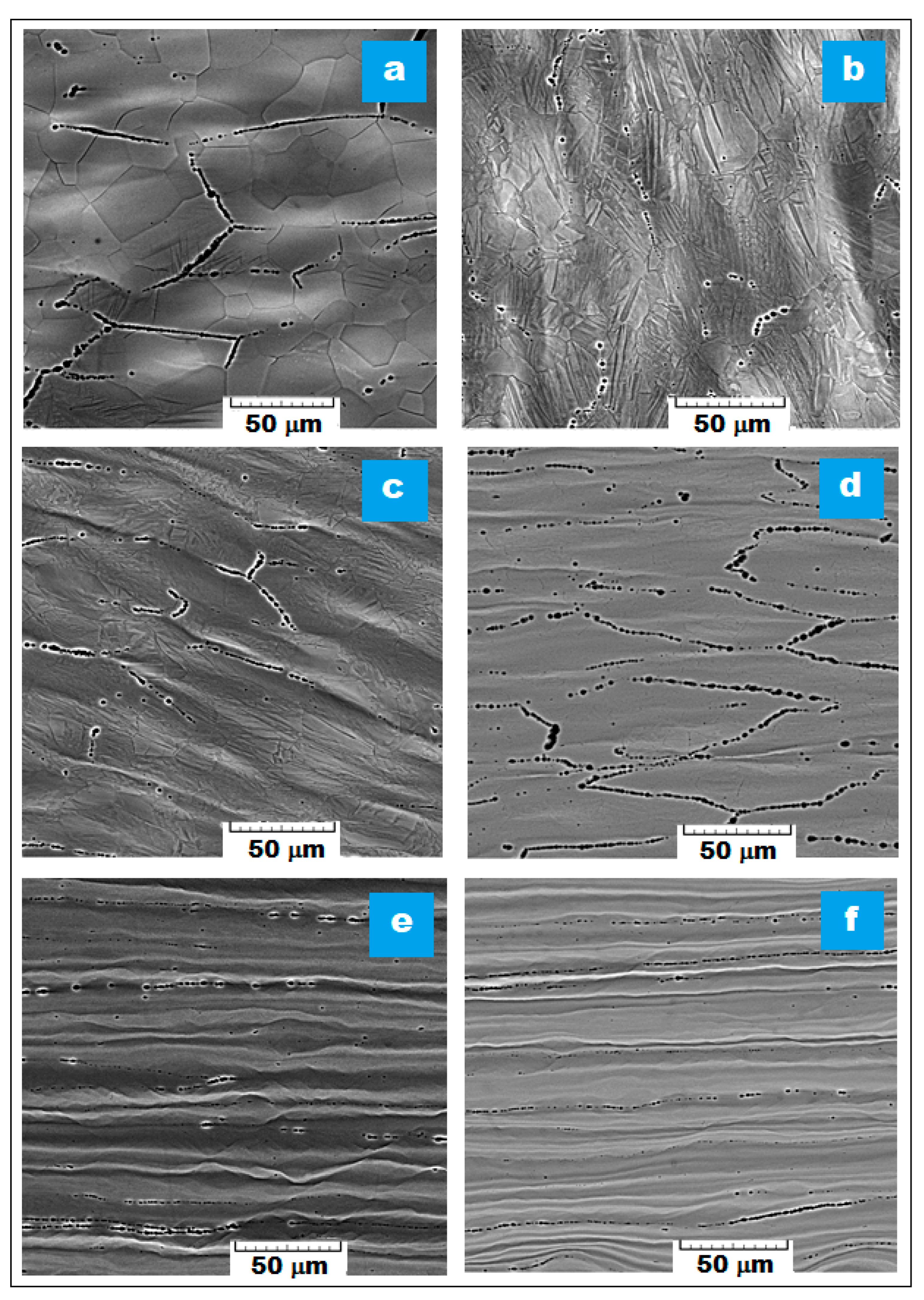 Materials 16 03208 g004