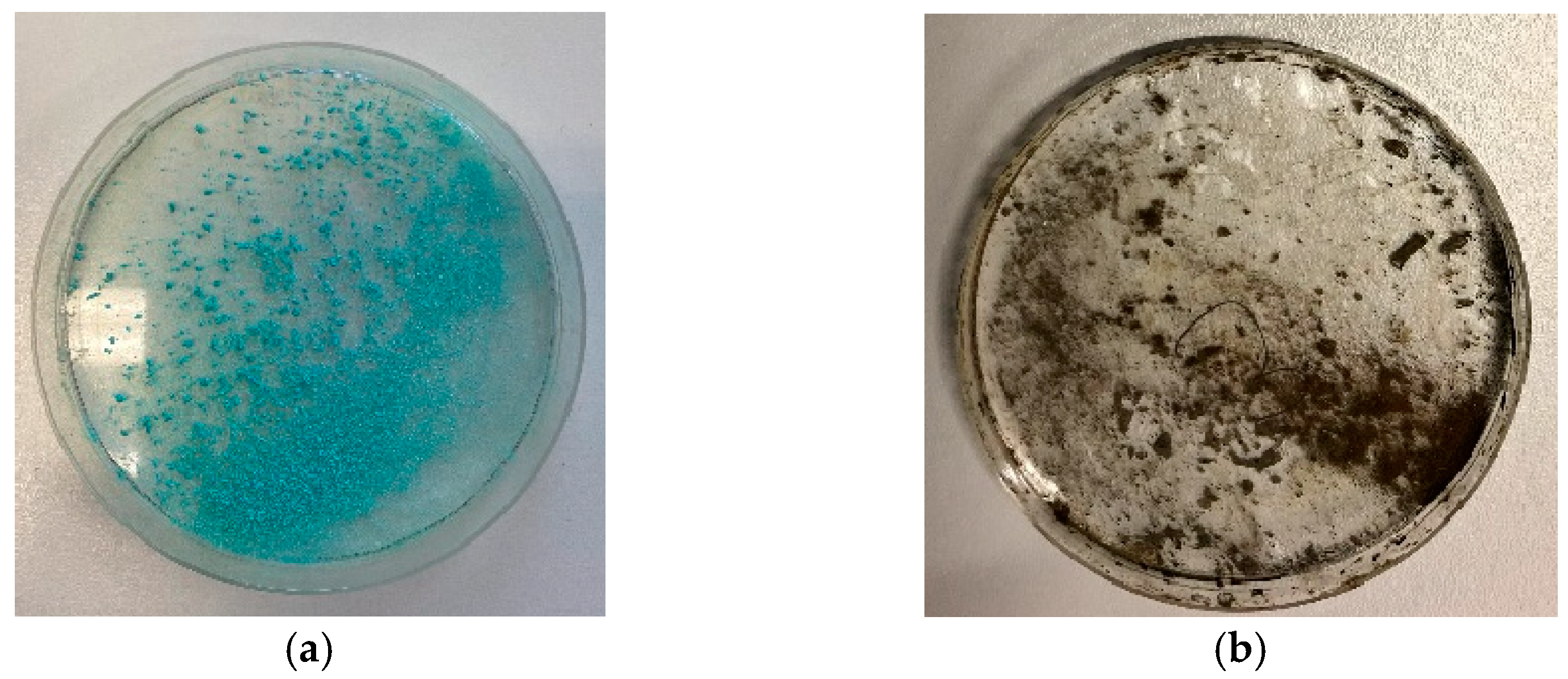 Materials 16 03221 g007