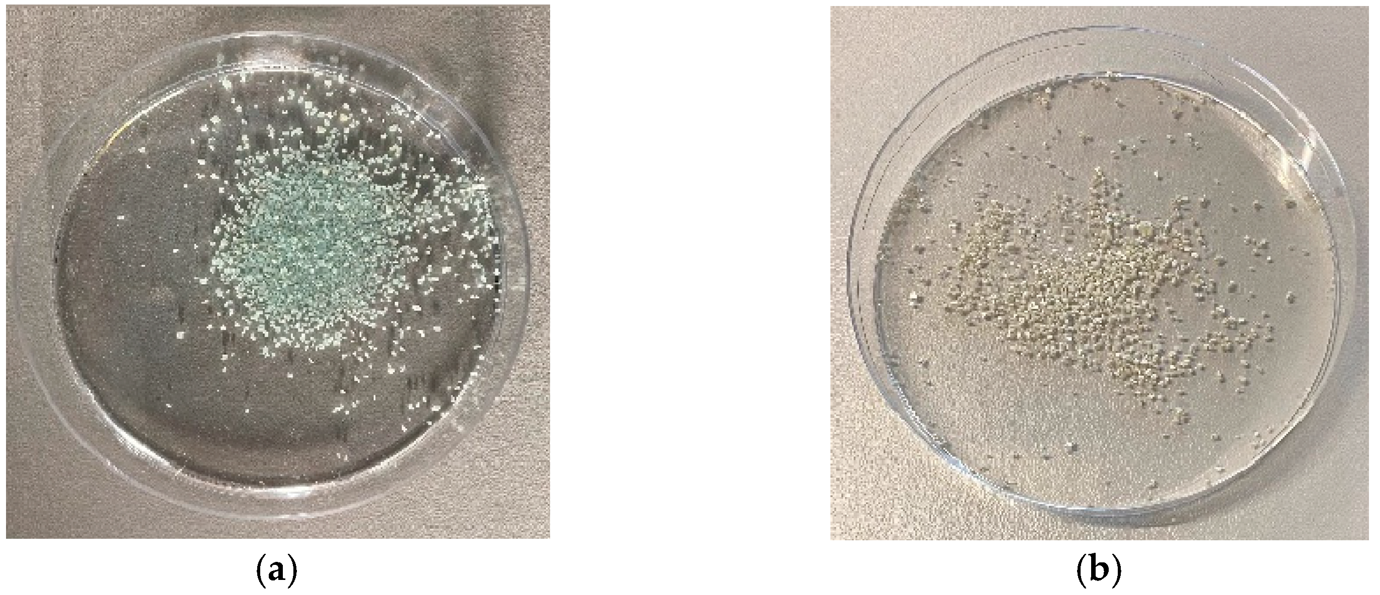 Materials 16 03221 g008