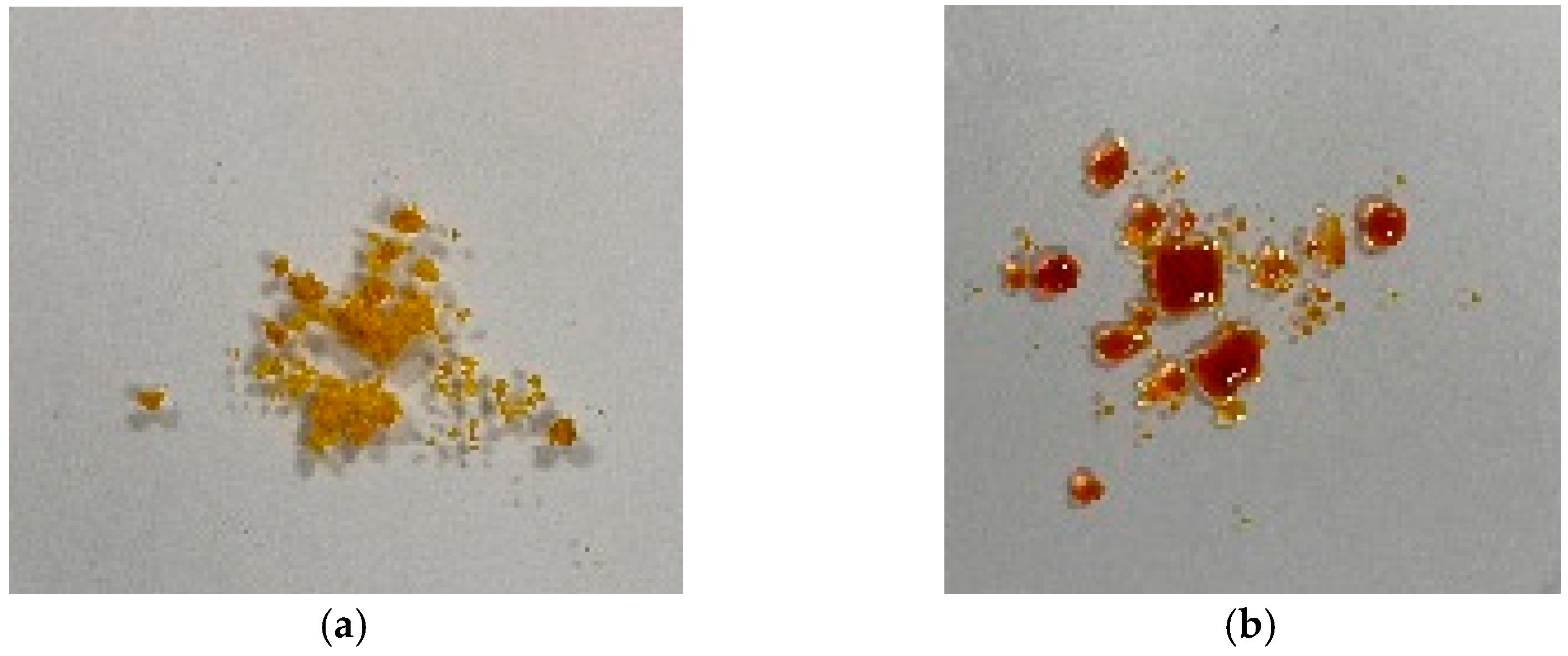 Materials 16 03221 g009