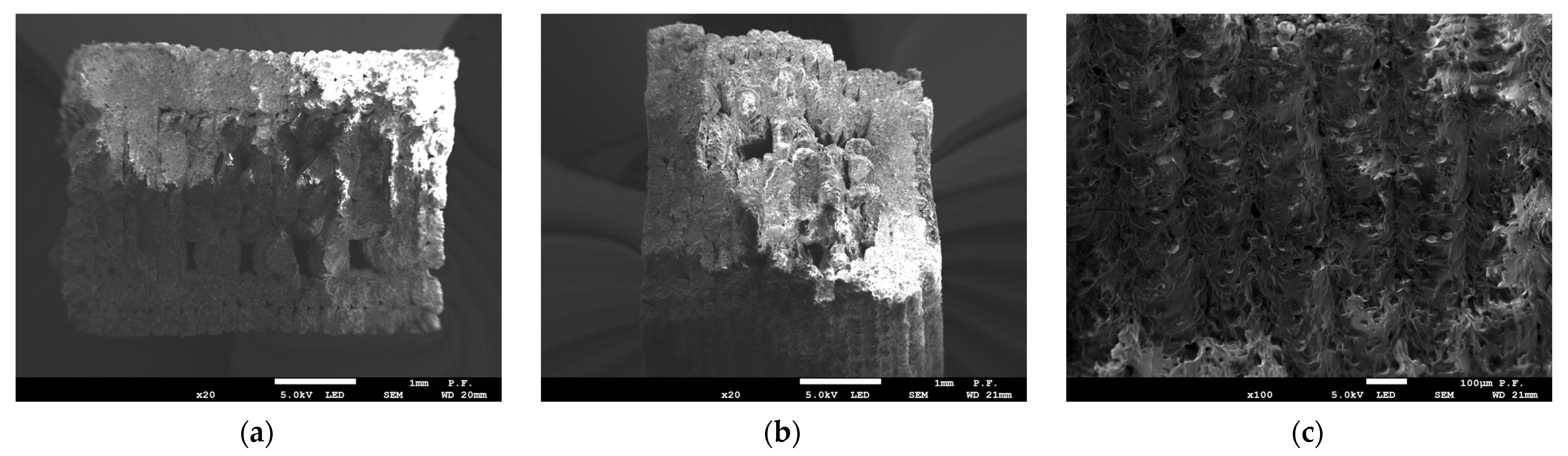 Materials 16 03241 g010 Materials 16 03241 g010