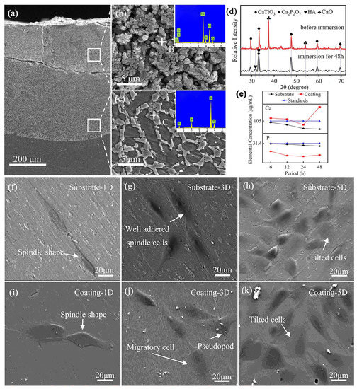Research Progress of Laser Cladding on the Surface of Titanium and Its ...