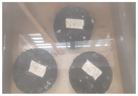 Slag Texture Analysis of Asphalt Mixtures Modified with Steel Slag Surface Texture ...