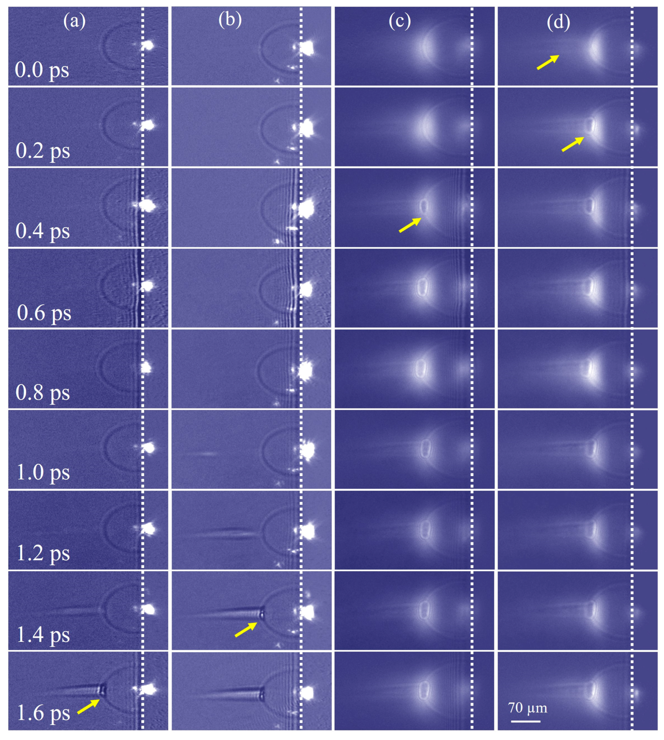 Materials 16 03264 g004