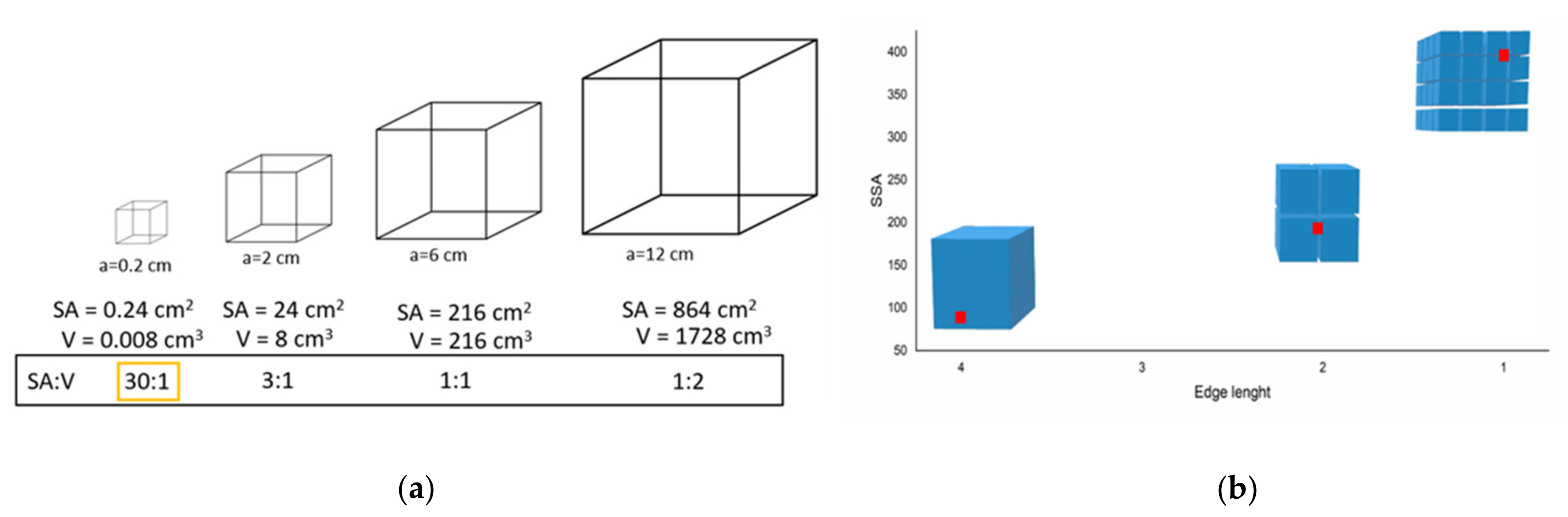 Materials 16 03277 g002