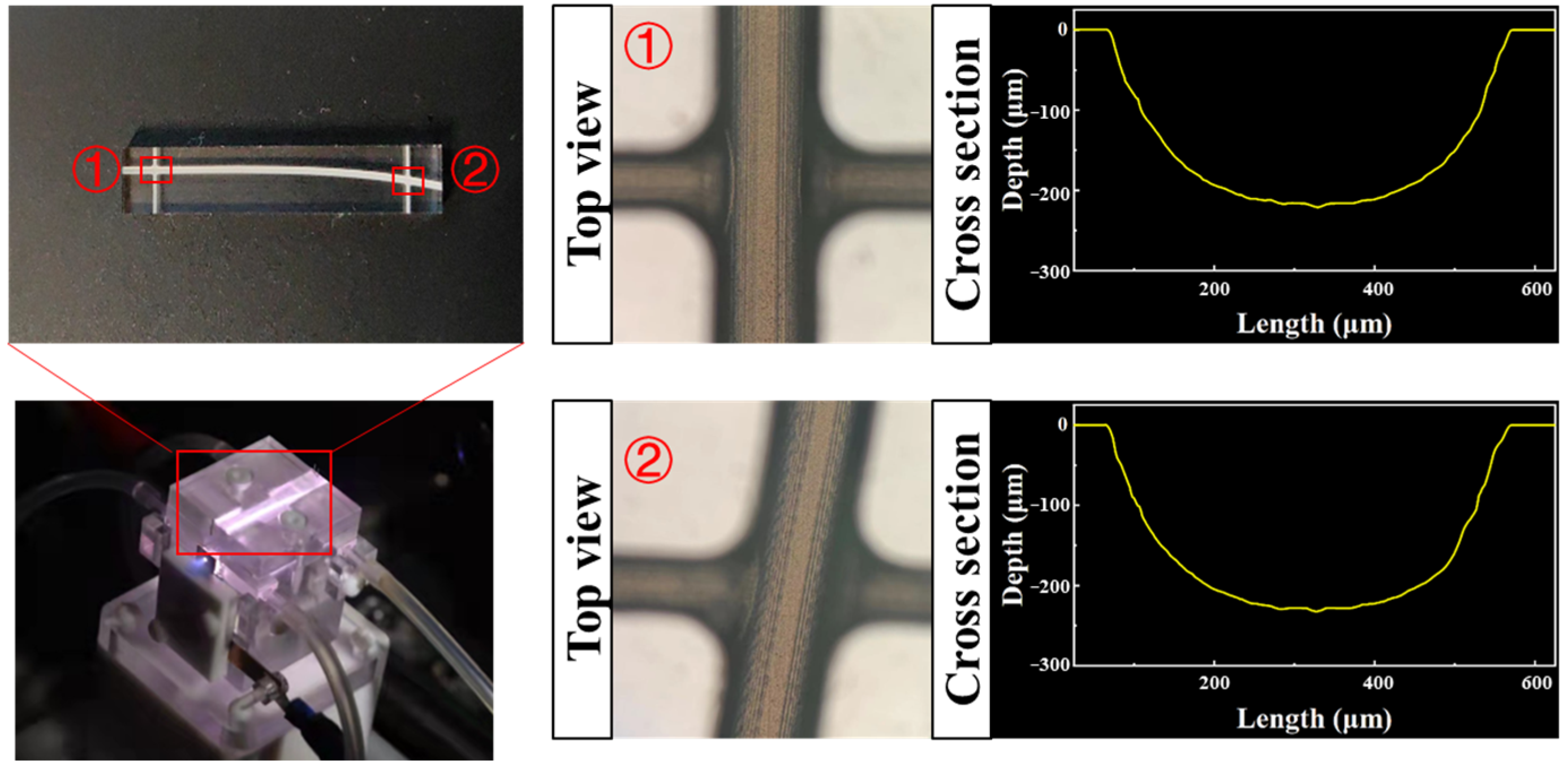 Materials 16 03278 g002 Materials 16 03278 g002