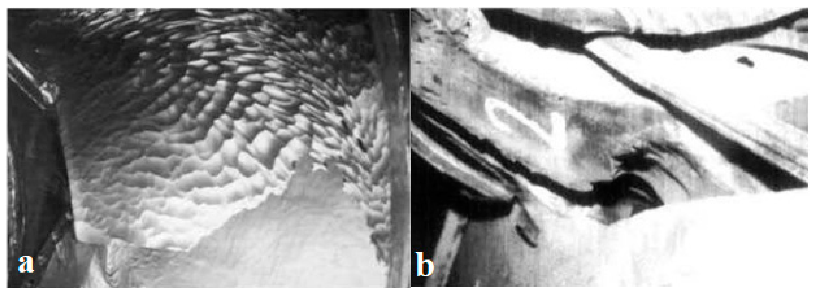 Materials 16 03303 g019 Materials 16 03303 g019