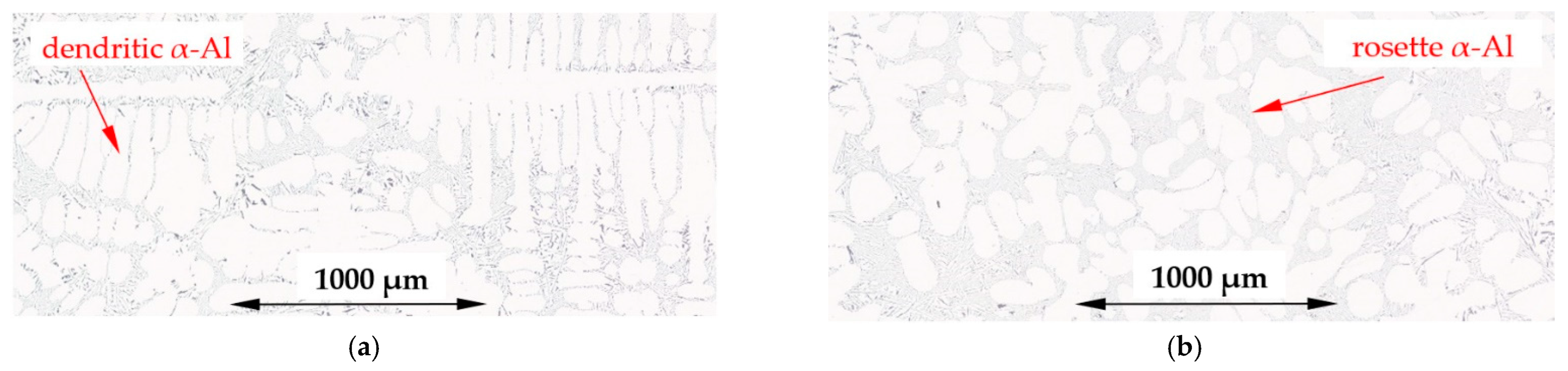 Materials 16 03304 g003 Materials 16 03304 g003