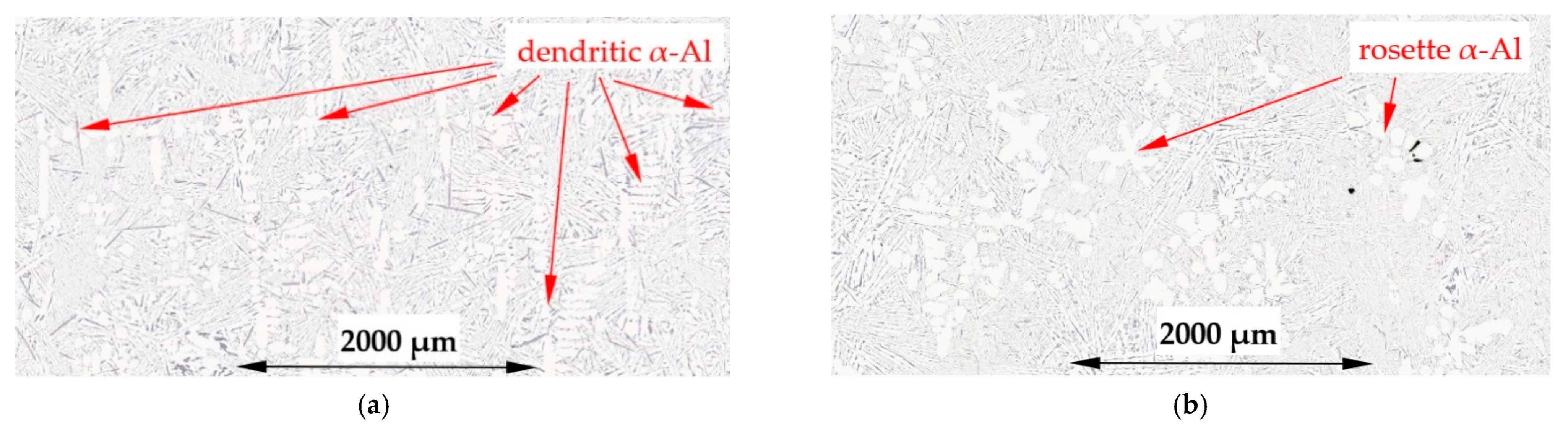 Materials 16 03304 g012 Materials 16 03304 g012