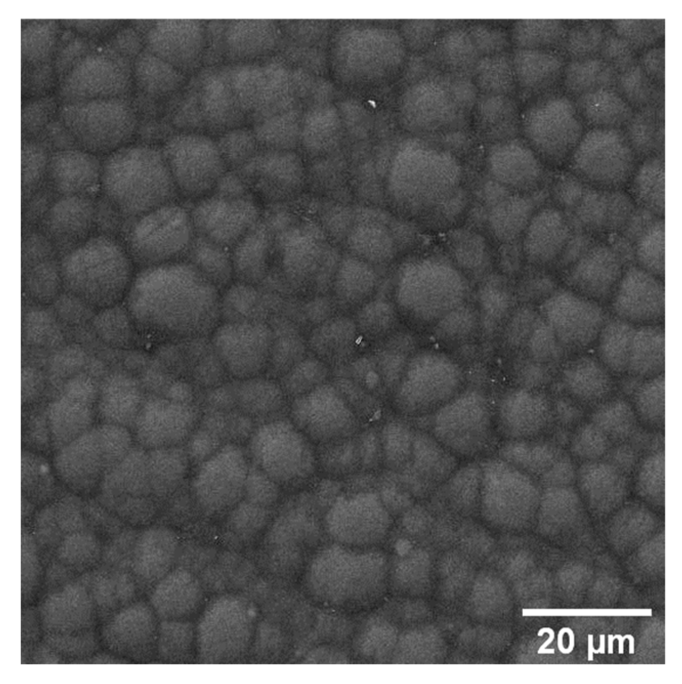 Materials 16 03313 g005 Materials 16 03313 g005