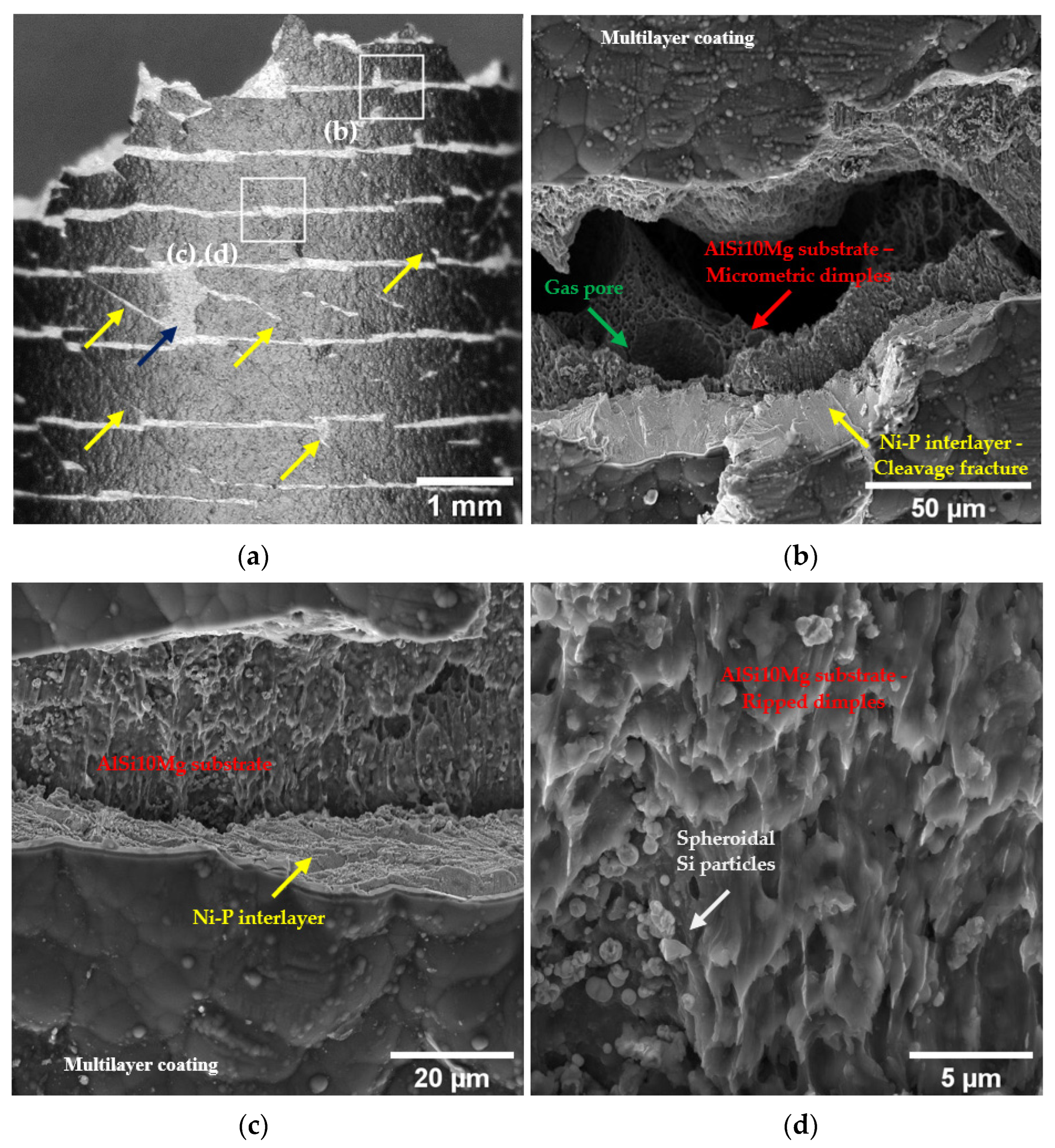 Materials 16 03313 g010 Materials 16 03313 g010