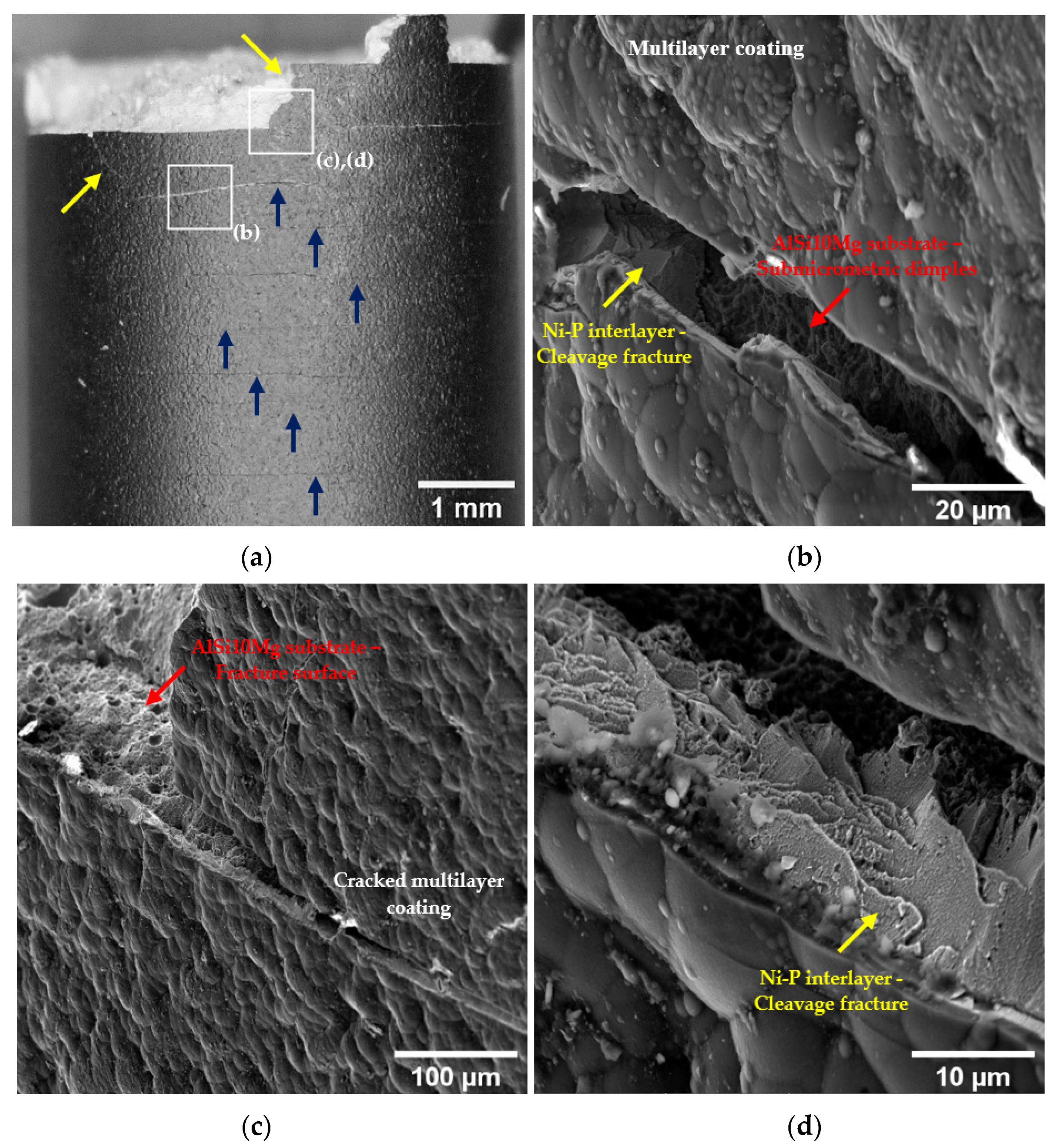 Materials 16 03313 g012 Materials 16 03313 g012