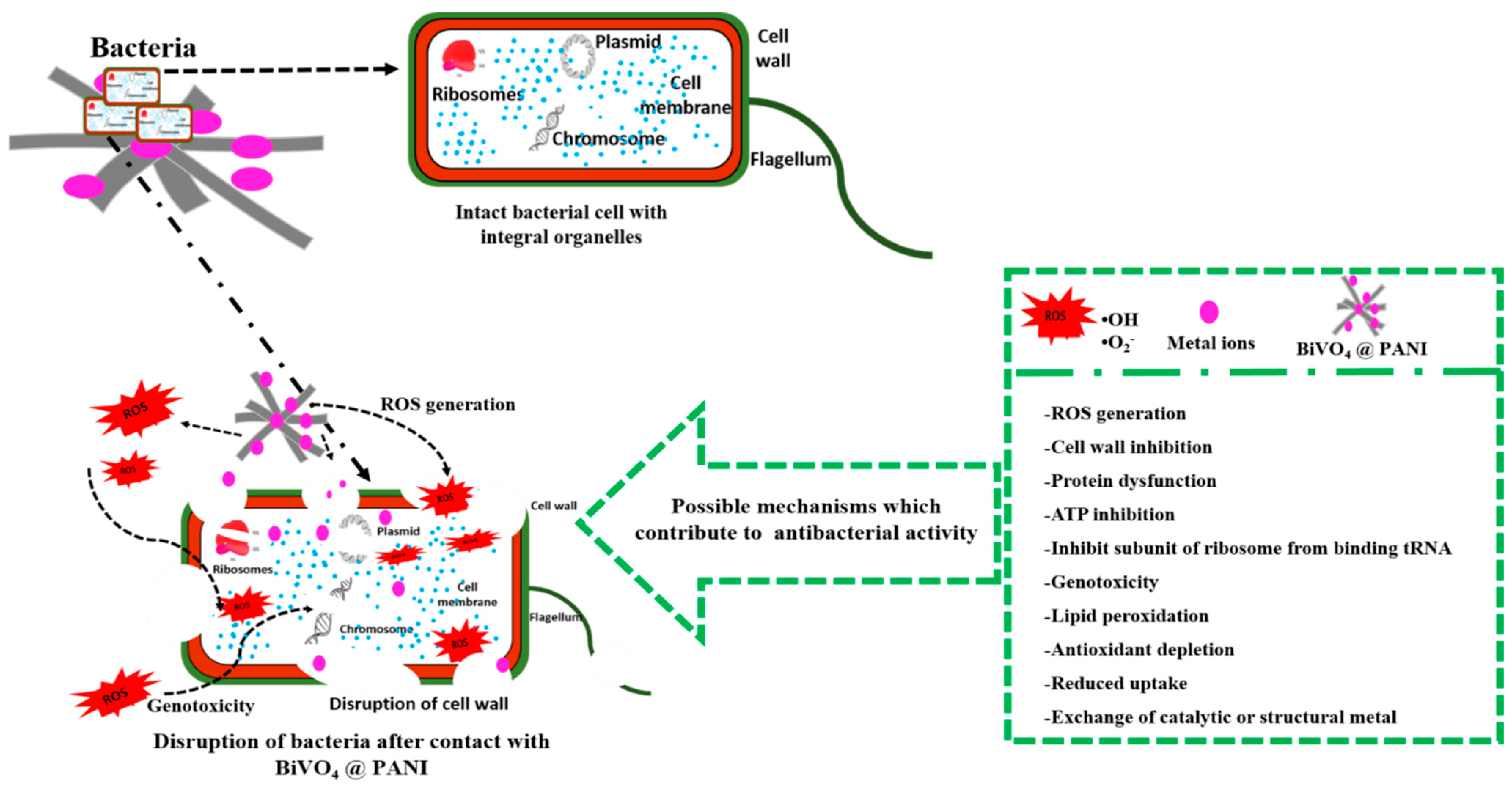 Materials 16 03314 sch002 Materials 16 03314 sch002