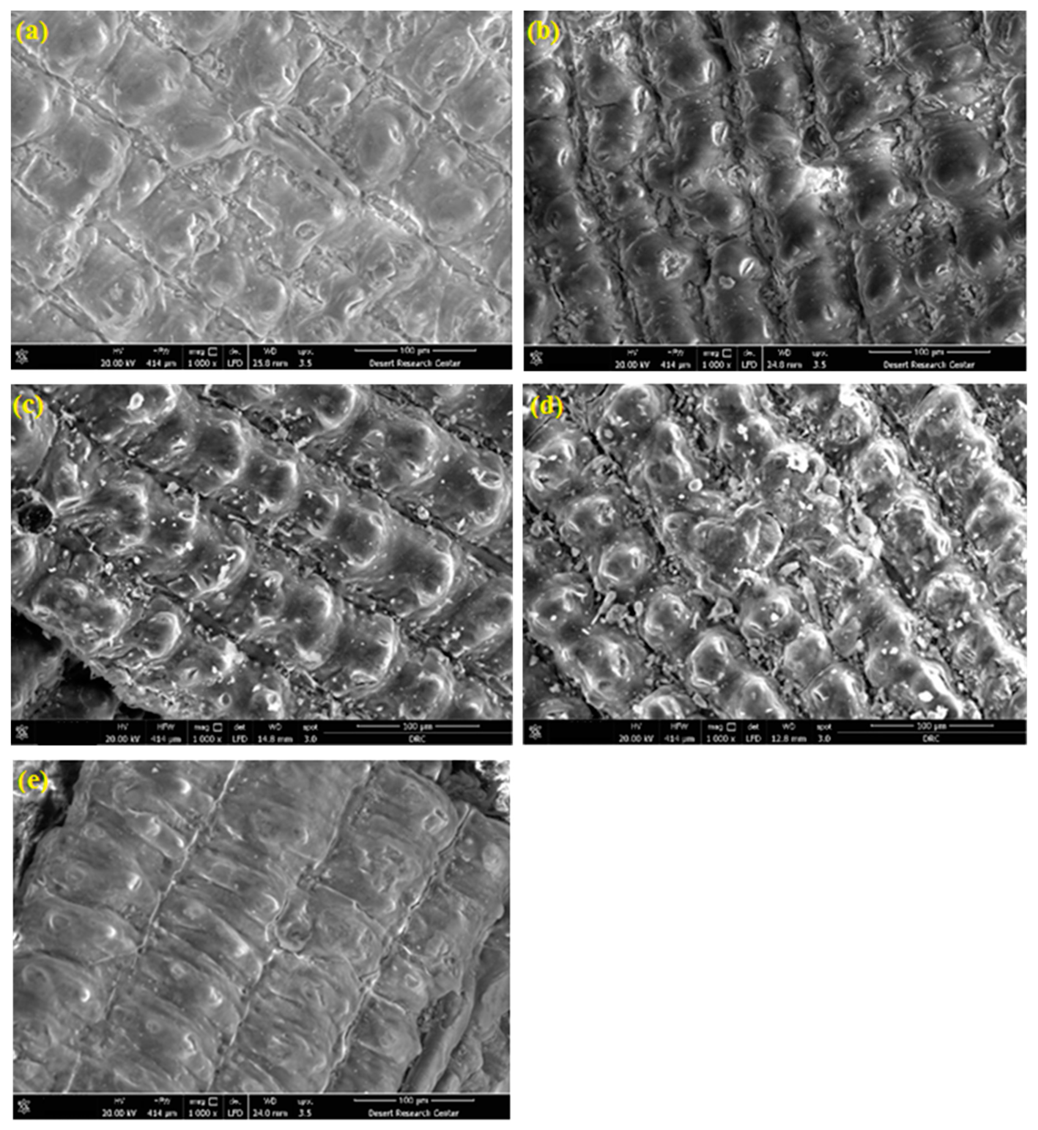 Materials 16 03328 g003