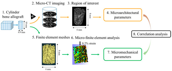 Marty様 Focal adhesion in the tumour metastasis: from molecular
