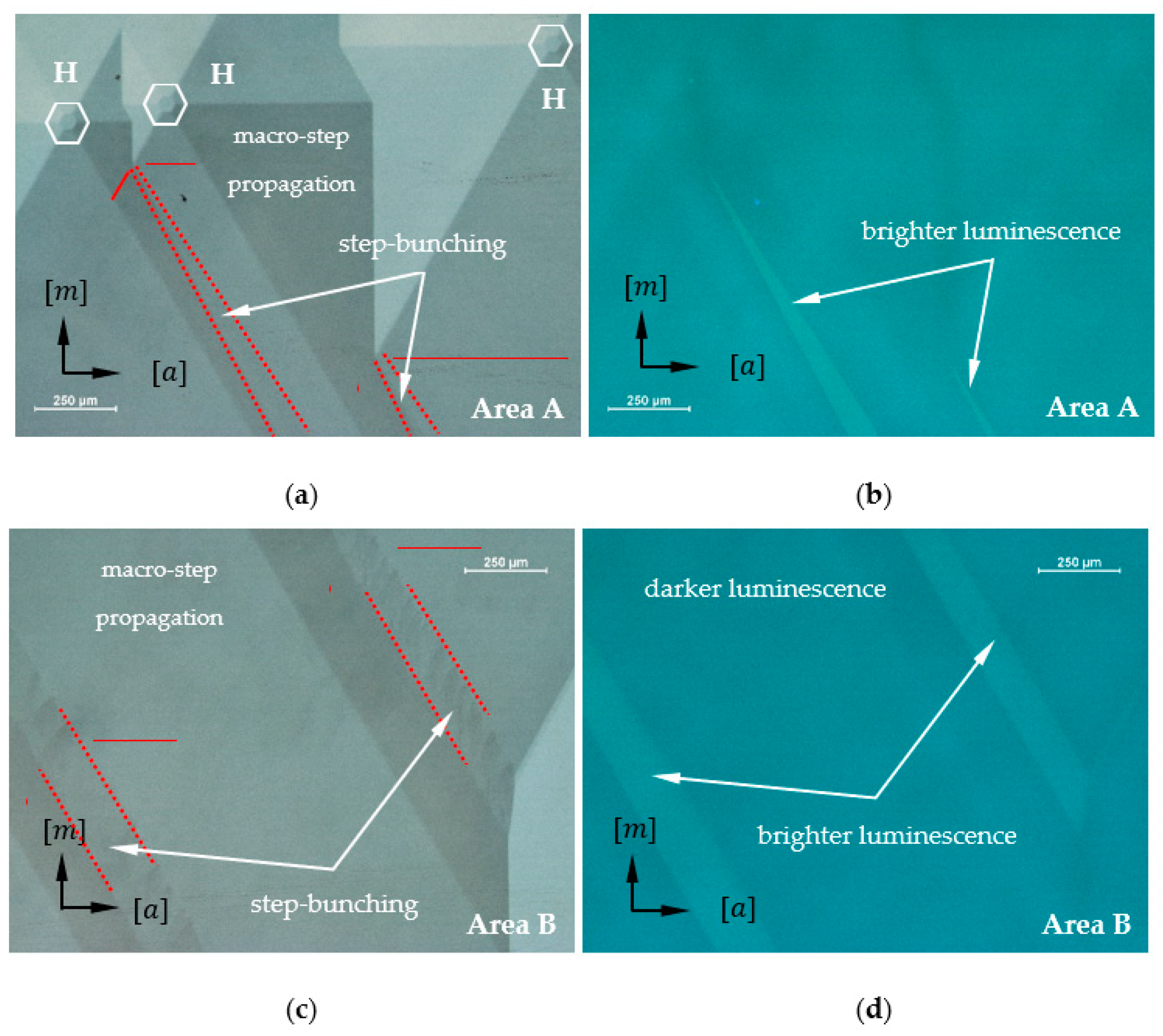 Materials 16 03360 g006