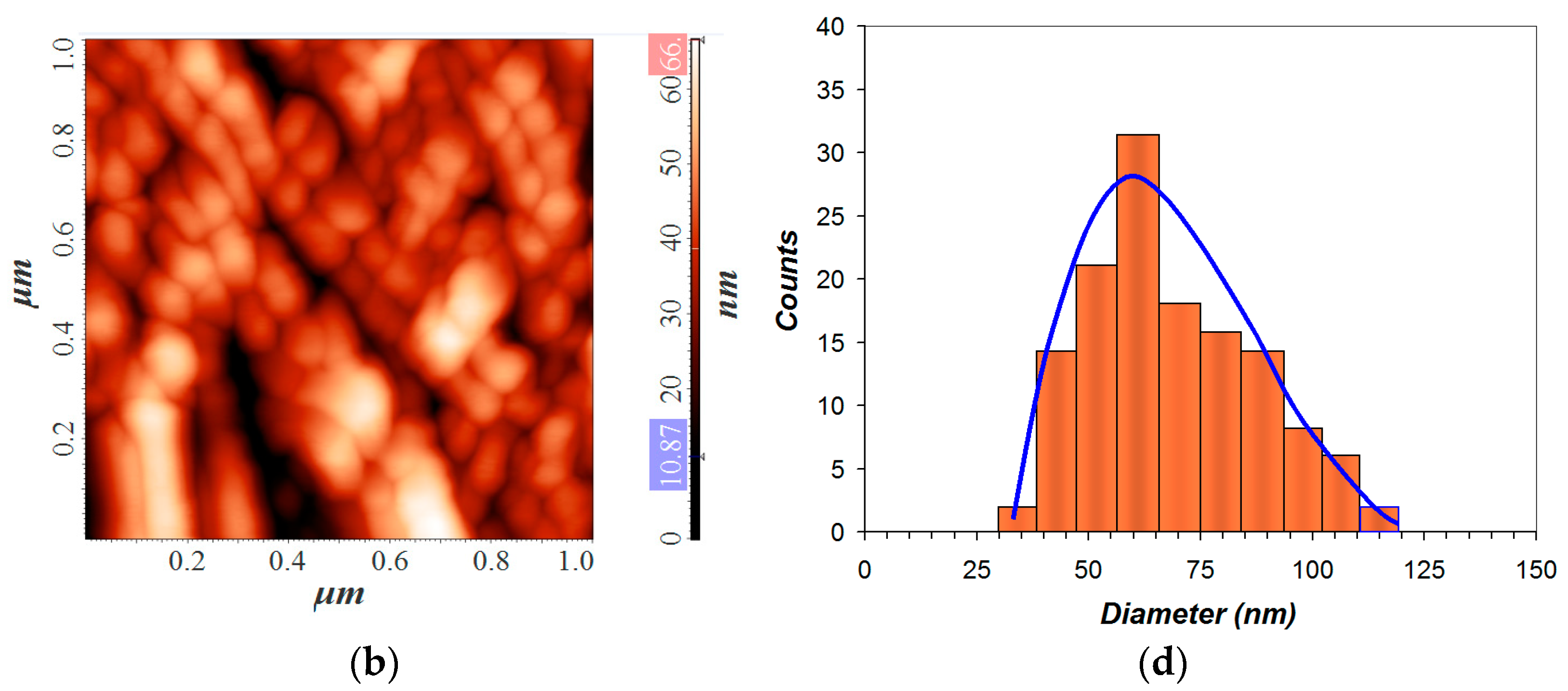 Materials 16 03366 g002b Materials 16 03366 g002b