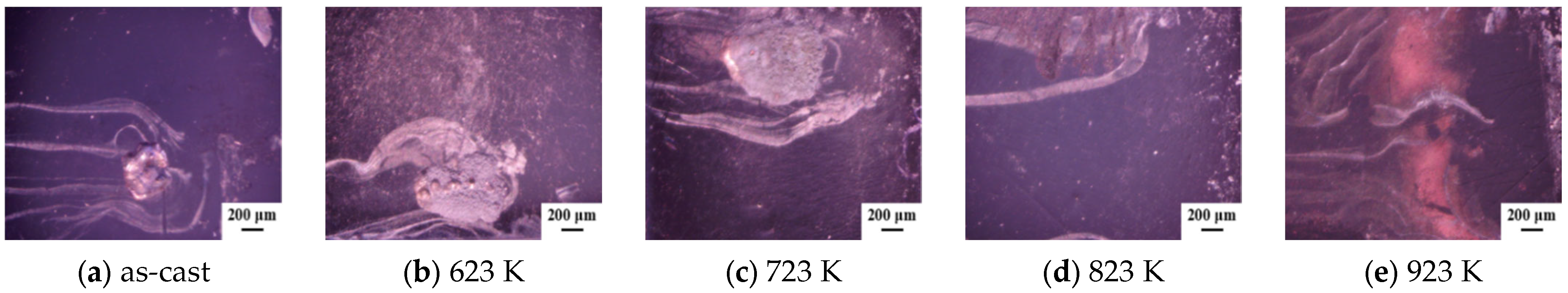 Materials 16 03389 g003