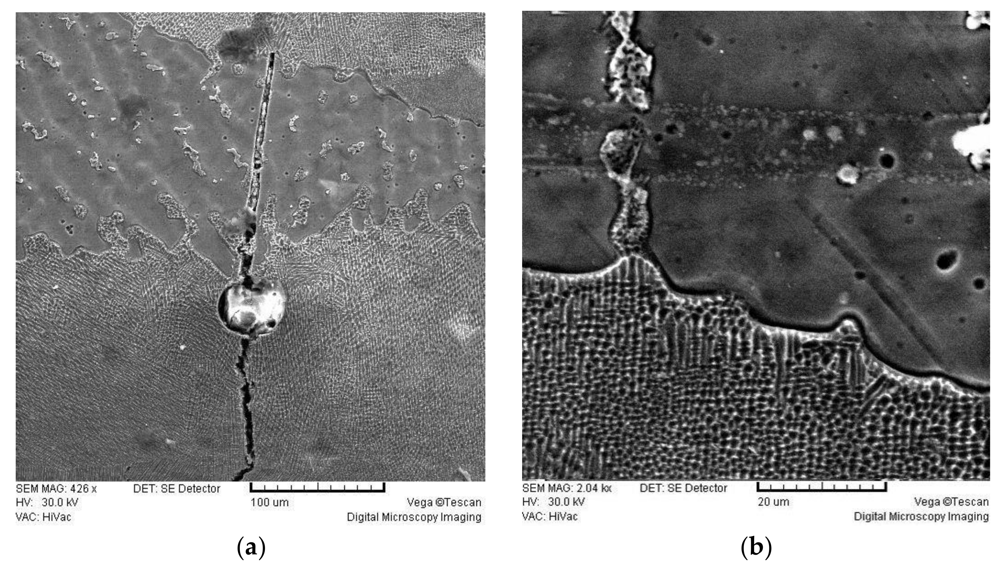 Materials 16 03398 g007