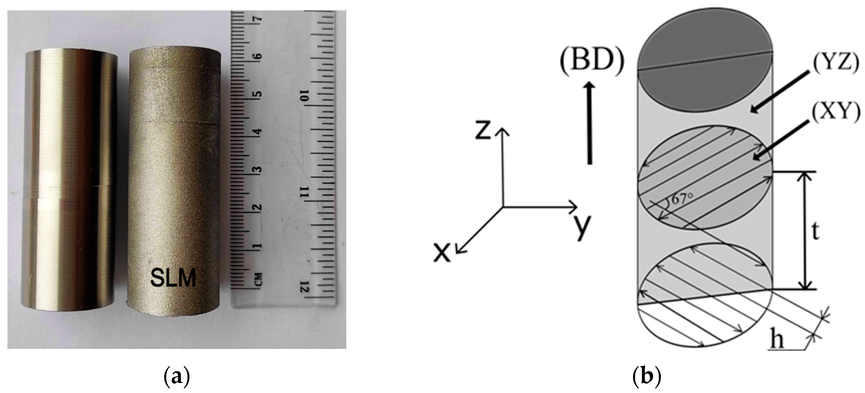 Materials 16 03400 g001 Materials 16 03400 g001