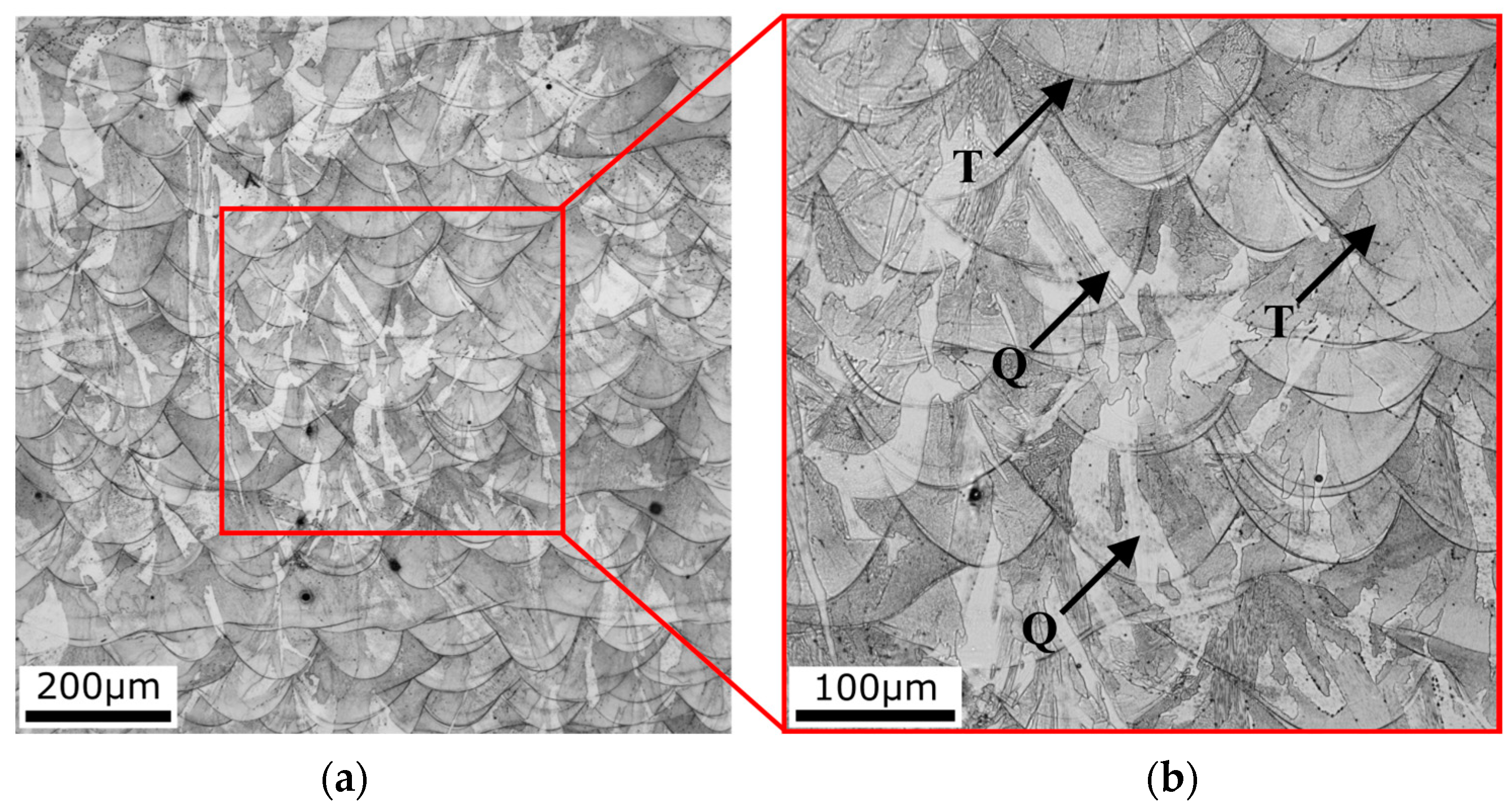 Materials 16 03400 g007 Materials 16 03400 g007