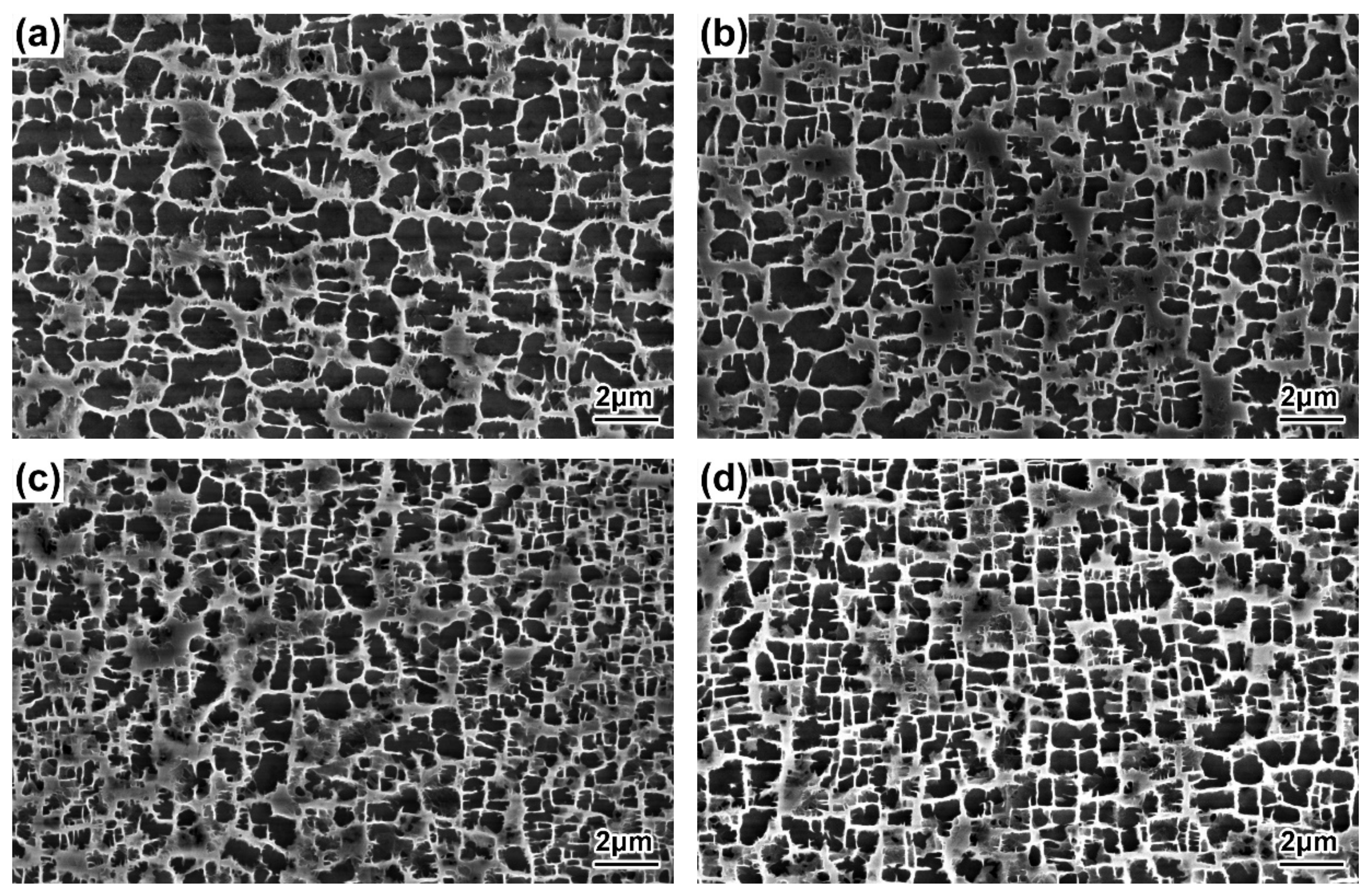 Materials 16 03409 g006 Materials 16 03409 g006