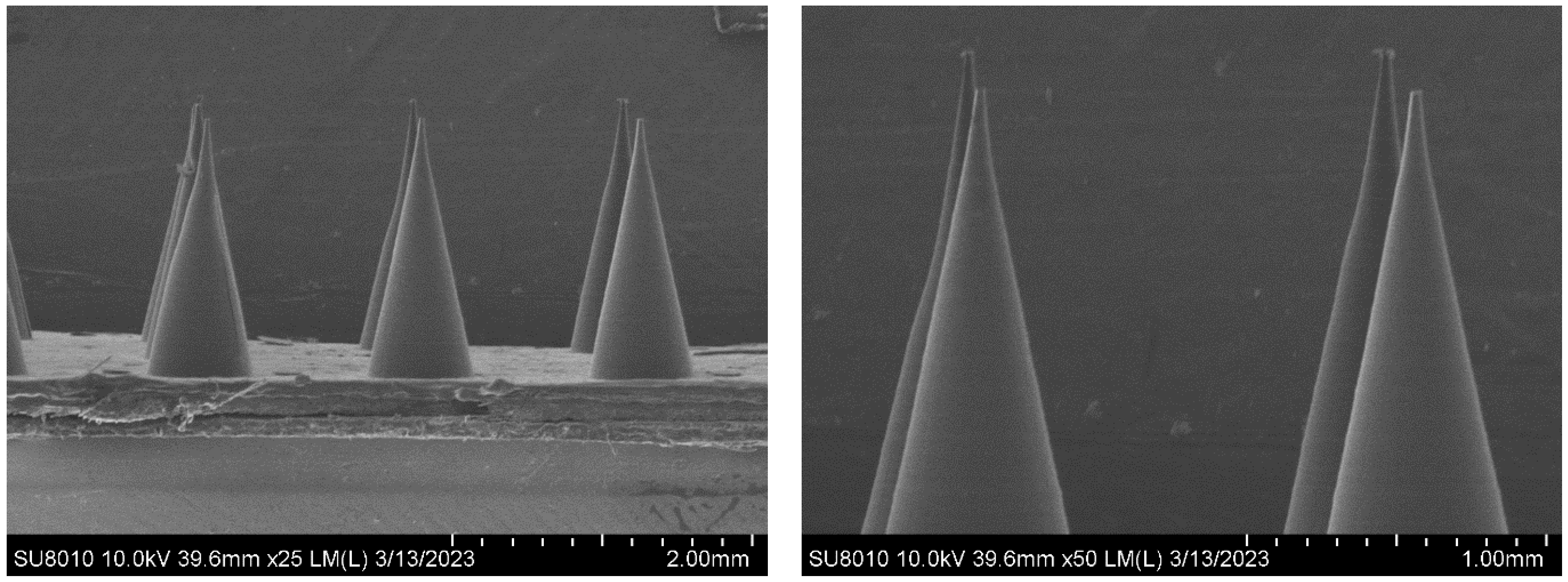 Materials 16 03417 g002 550