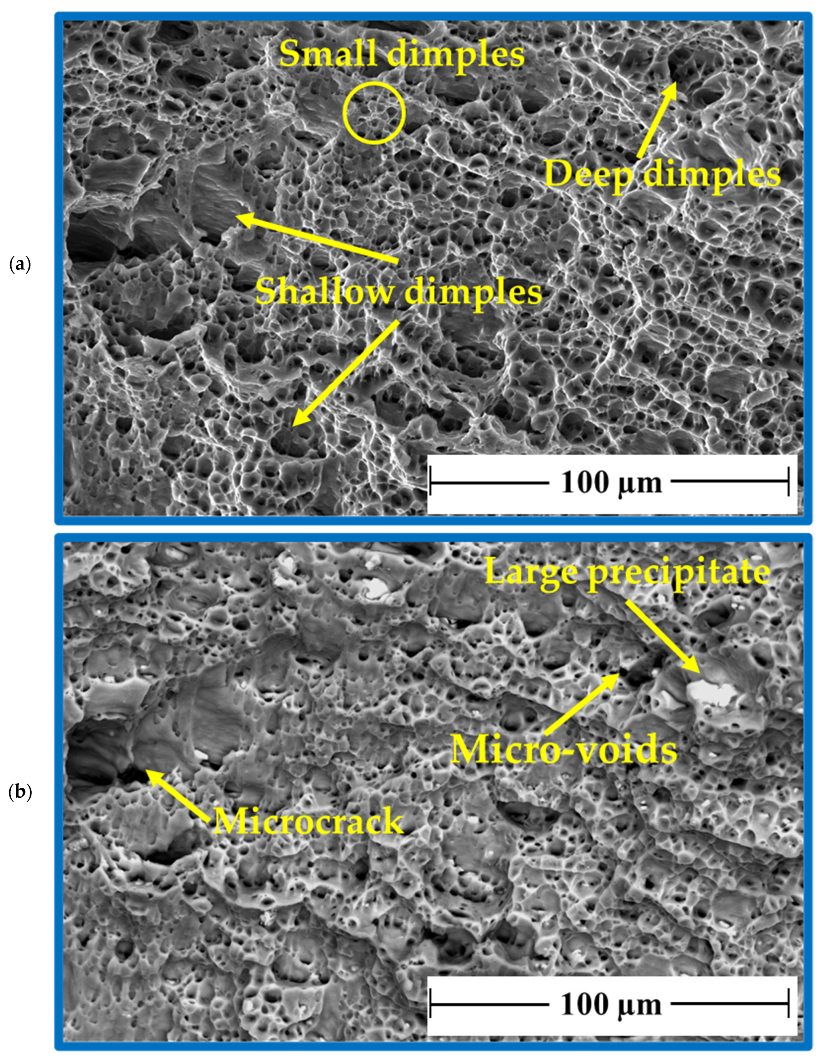 Materials 16 03423 g020 Materials 16 03423 g020