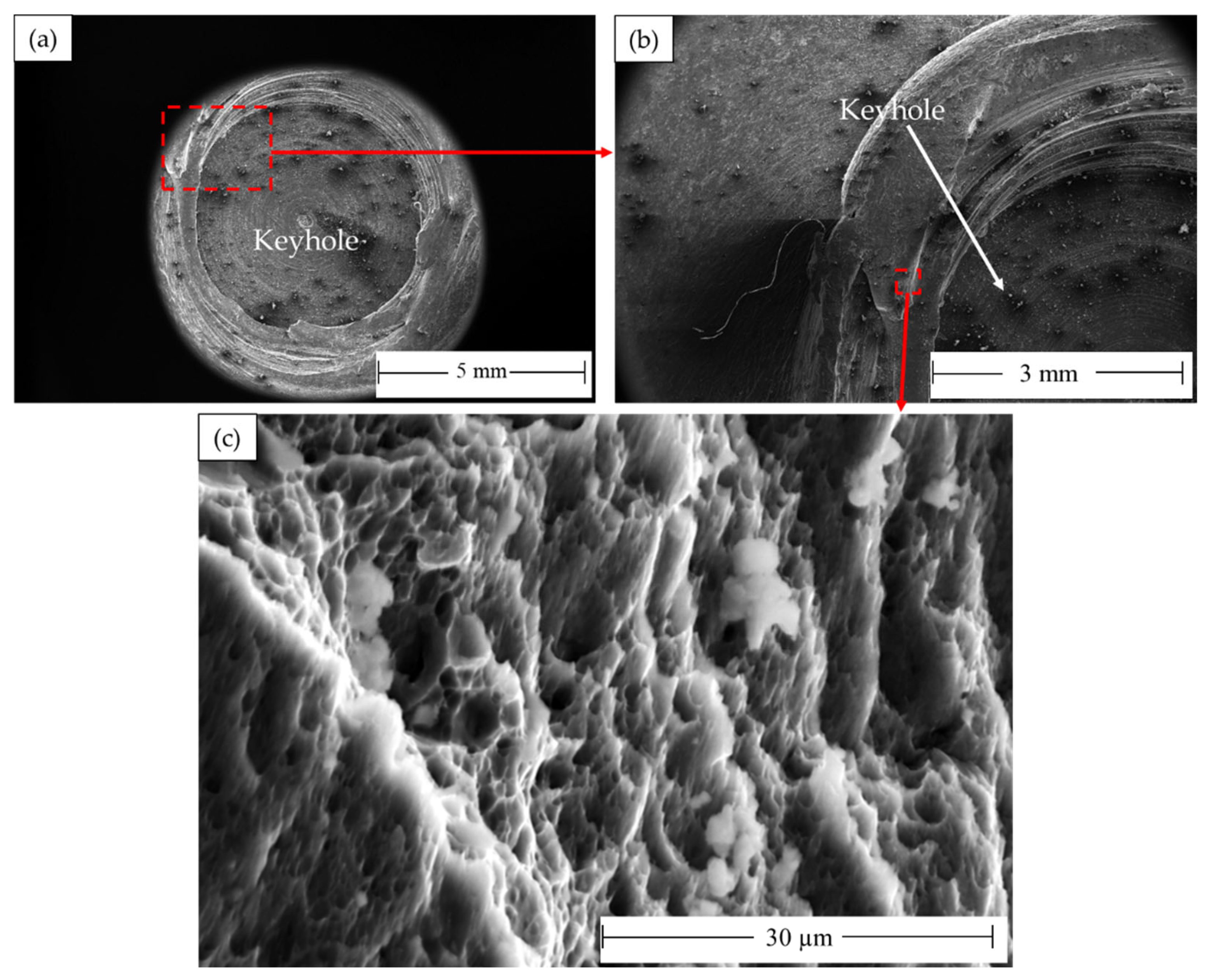 Materials 16 03423 g024 Materials 16 03423 g024