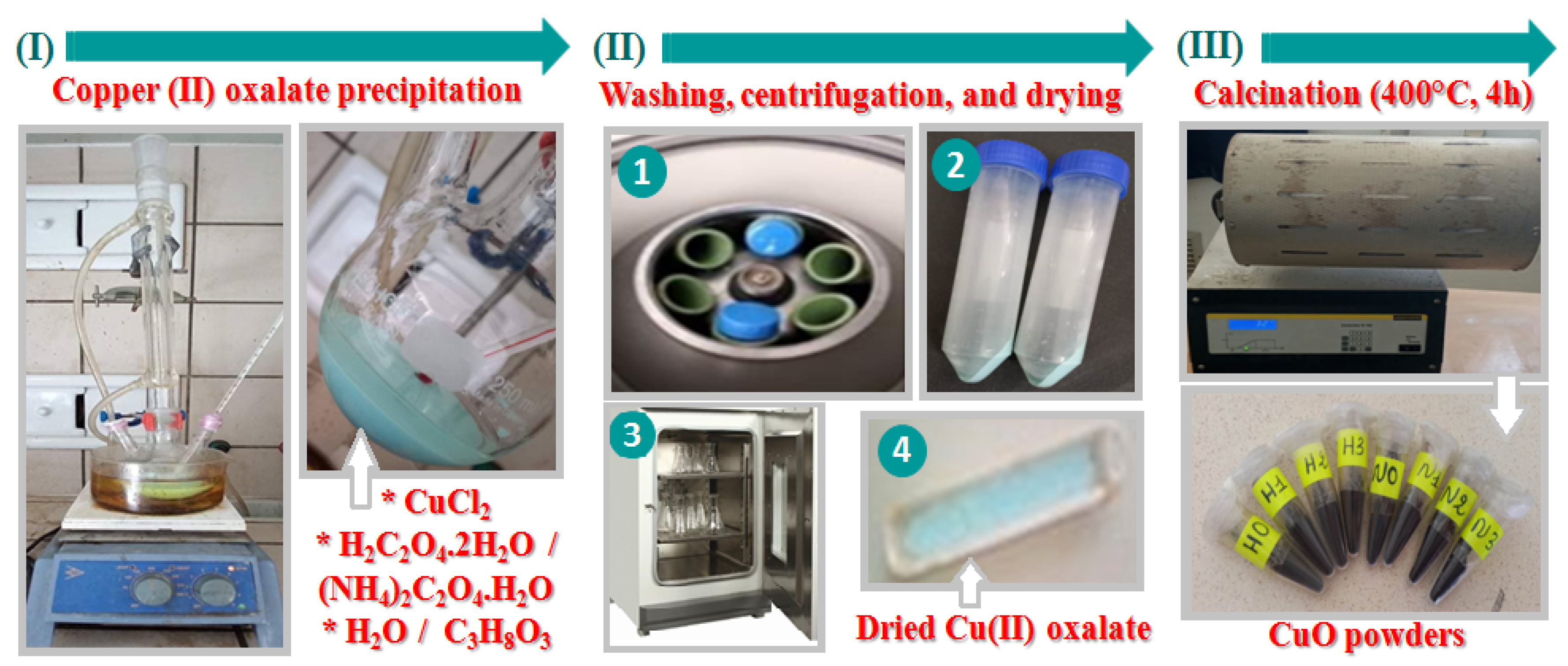 Materials 16 03426 g001