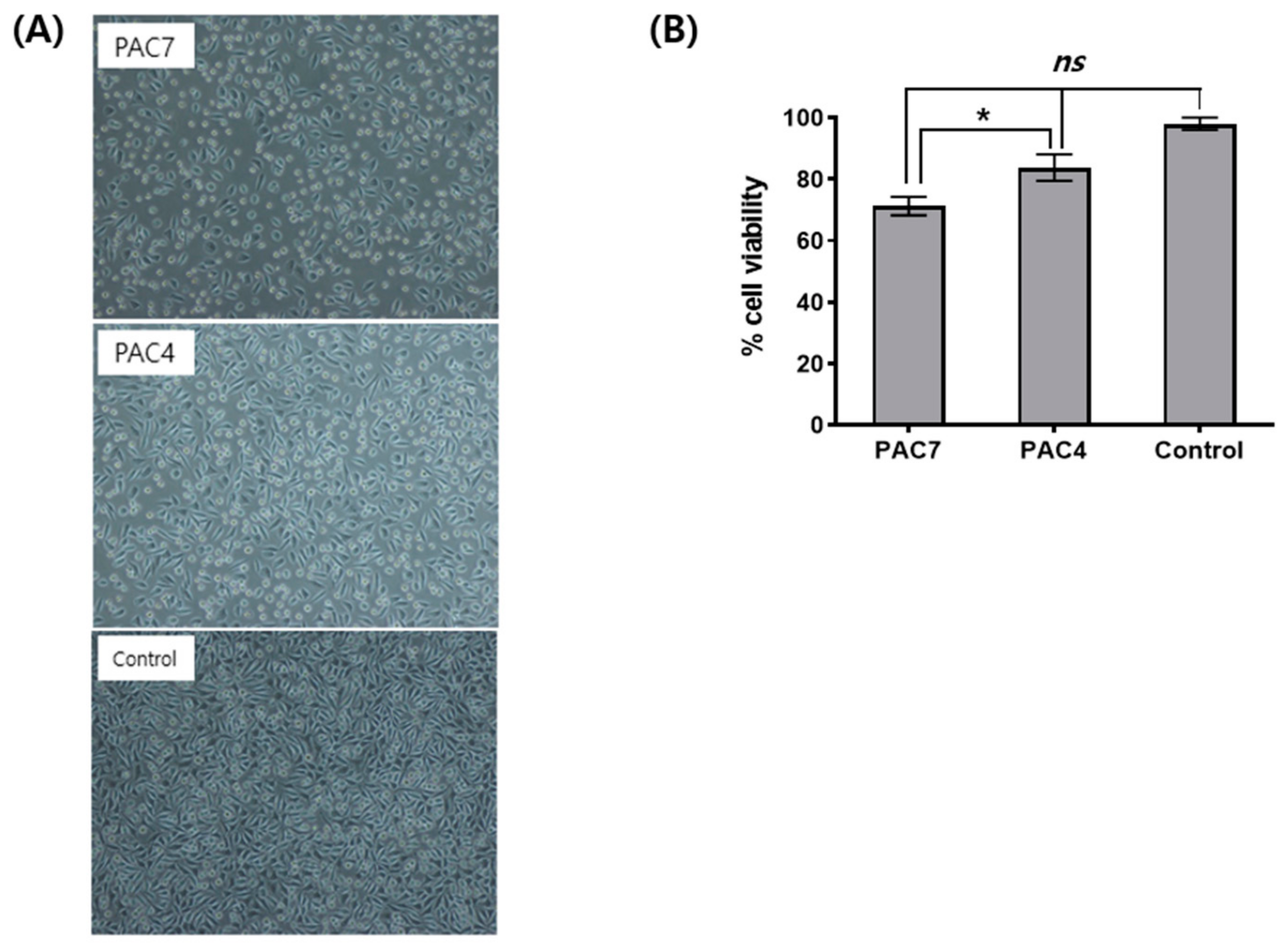Materials 16 03427 g002
