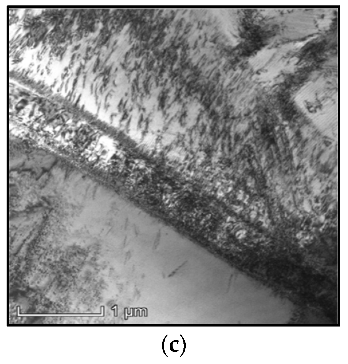 Materials 16 03430 g004b Materials 16 03430 g004b