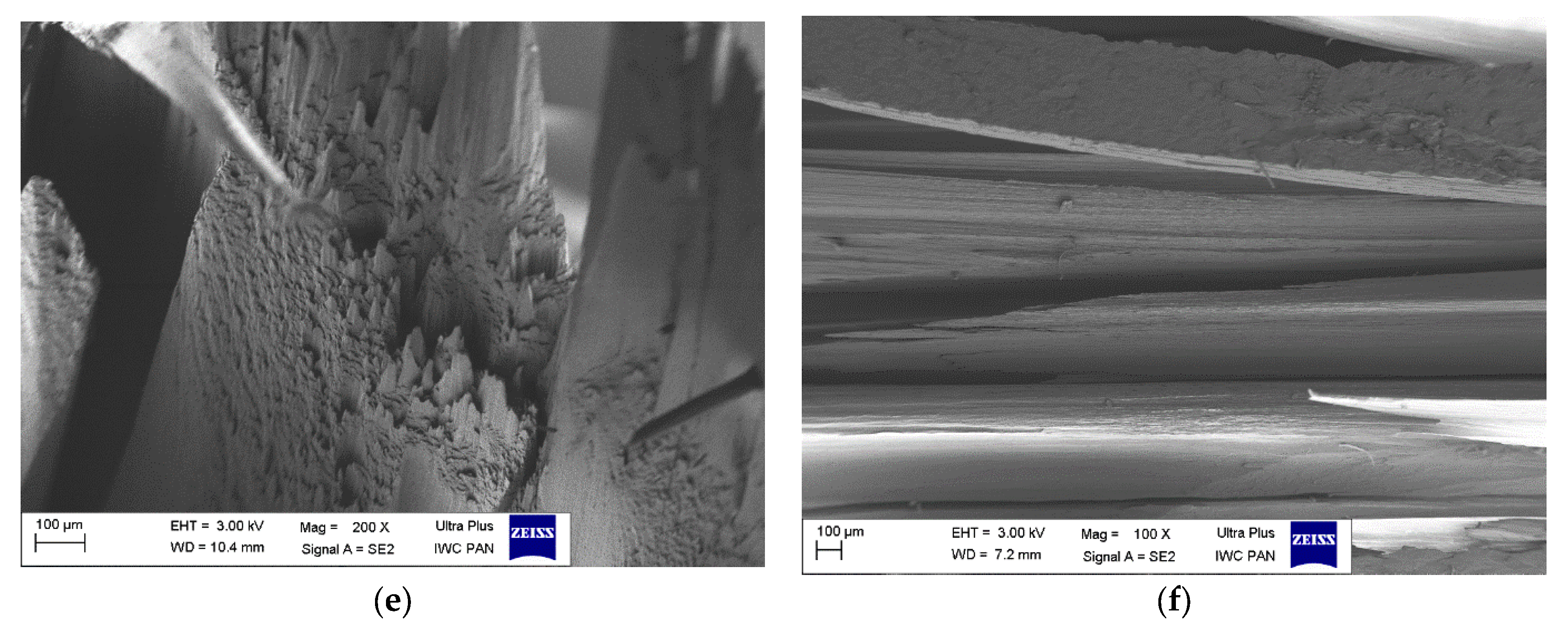 Materials 16 03435 g002b Materials 16 03435 g002b