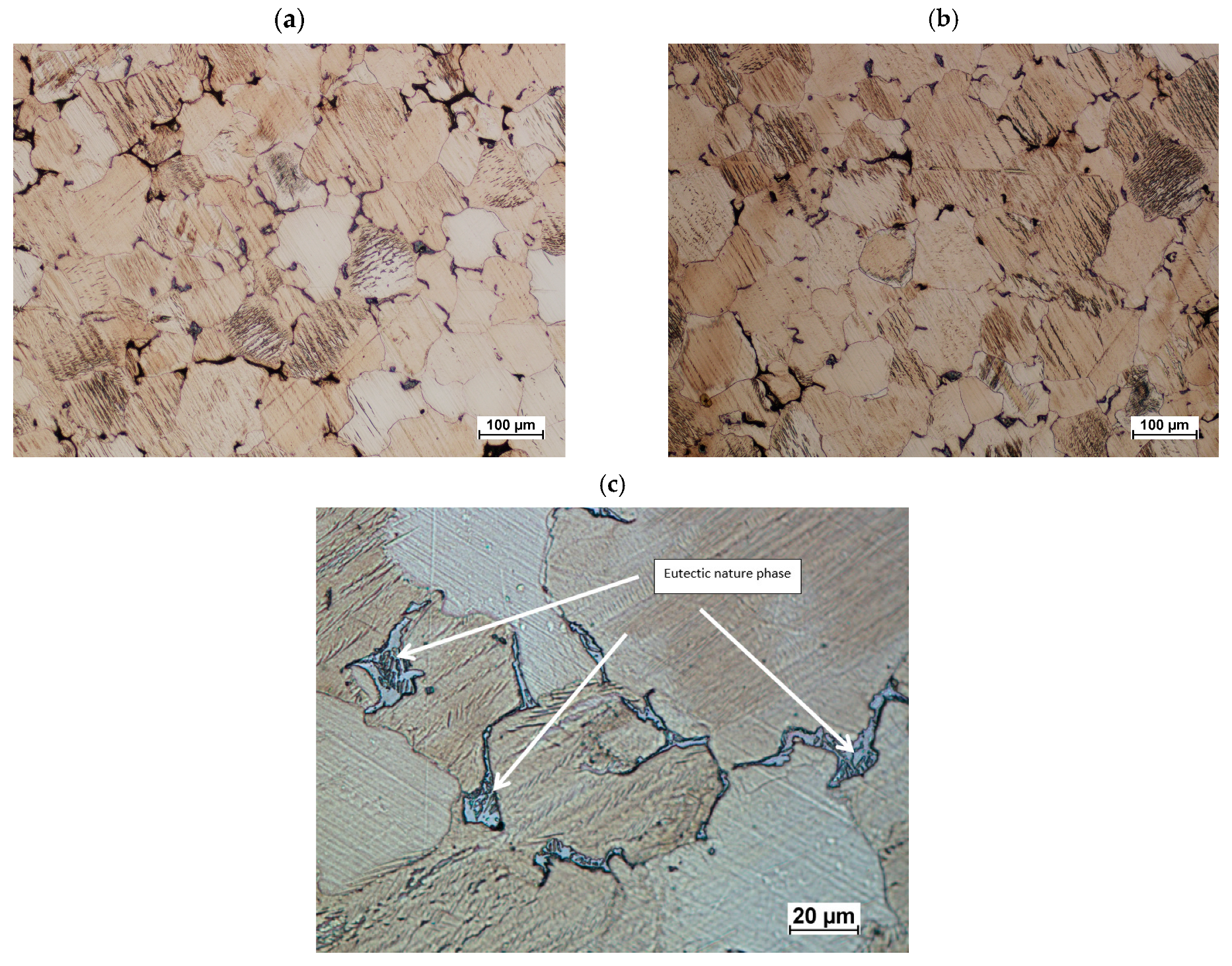 Materials 16 03467 g017 Materials 16 03467 g017