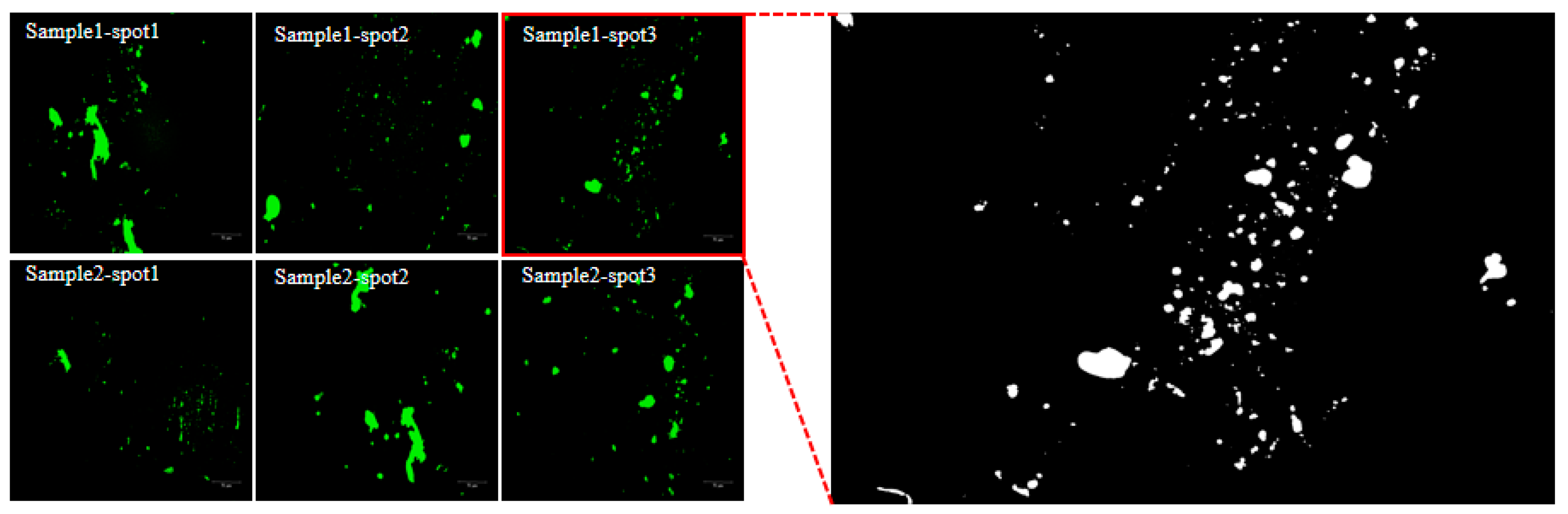 Materials 16 03469 g003