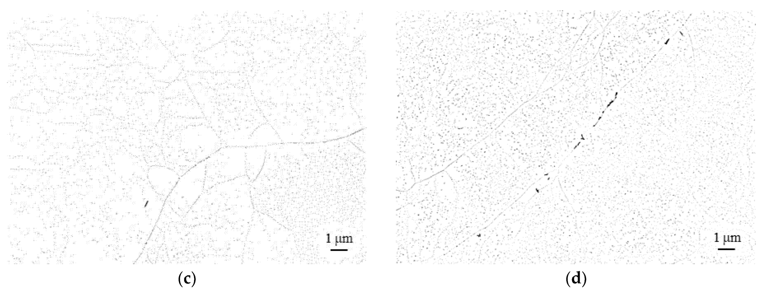 Materials 16 03500 g002b Materials 16 03500 g002b