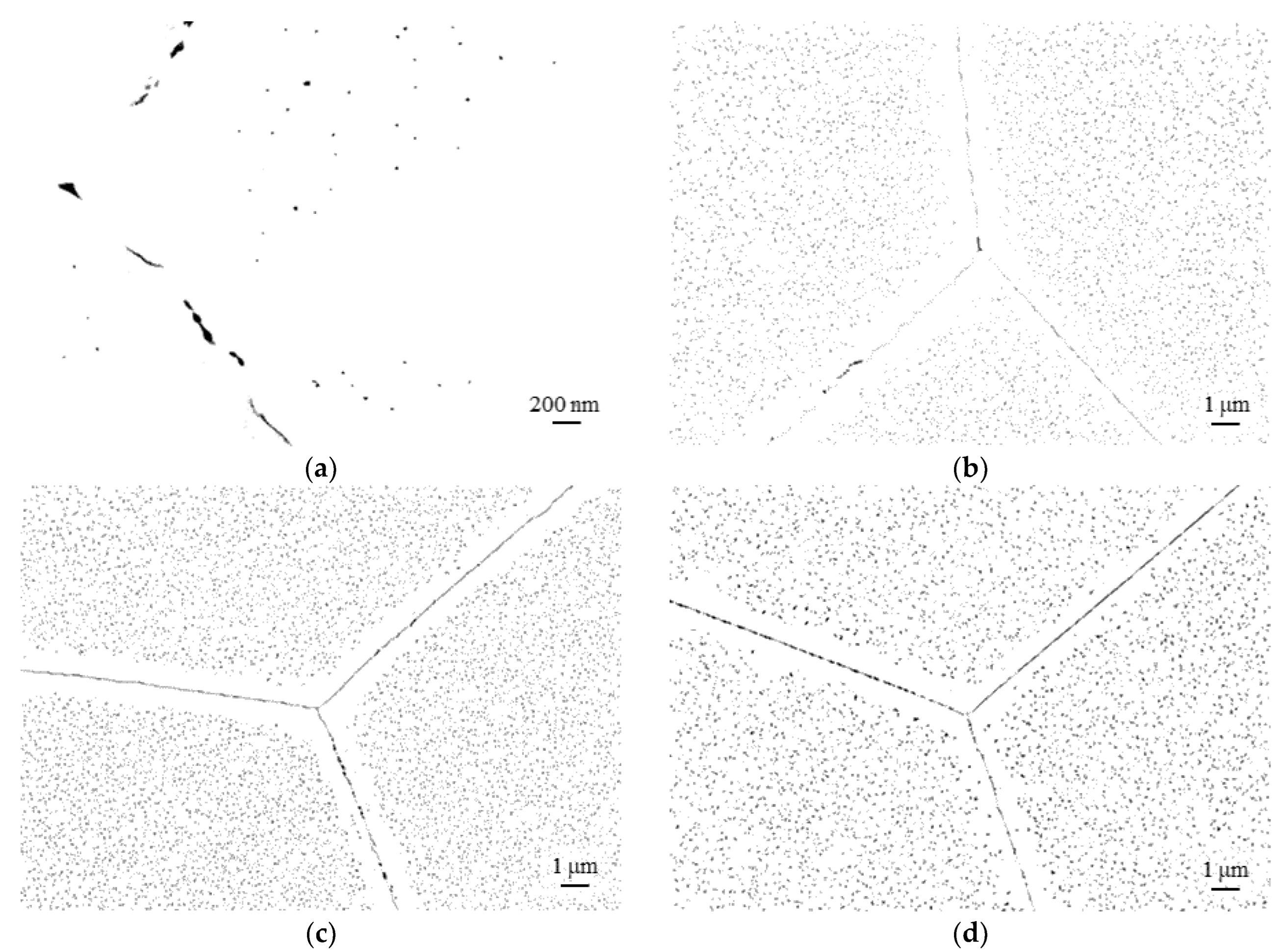 Materials 16 03500 g004a Materials 16 03500 g004a