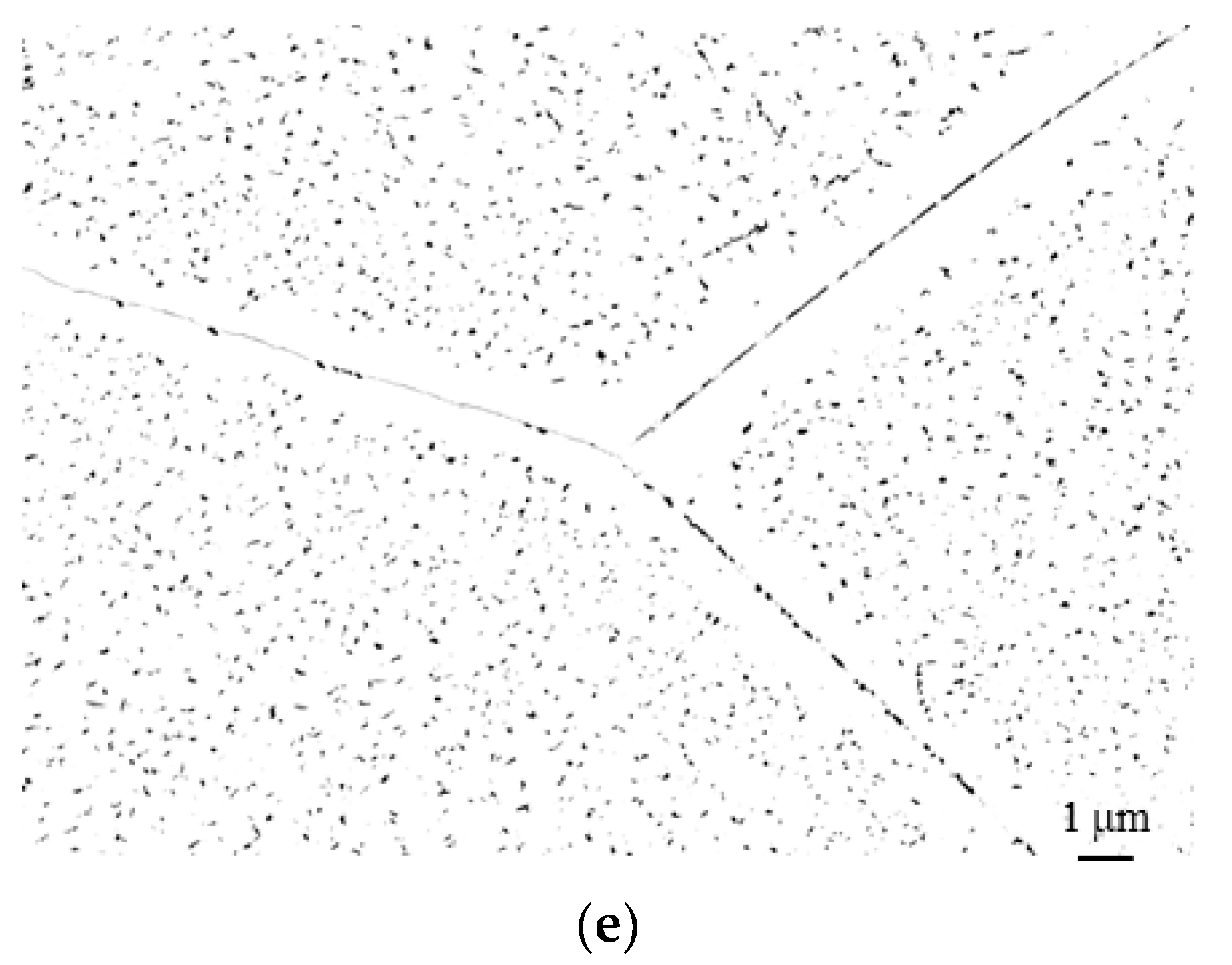 Materials 16 03500 g004b Materials 16 03500 g004b