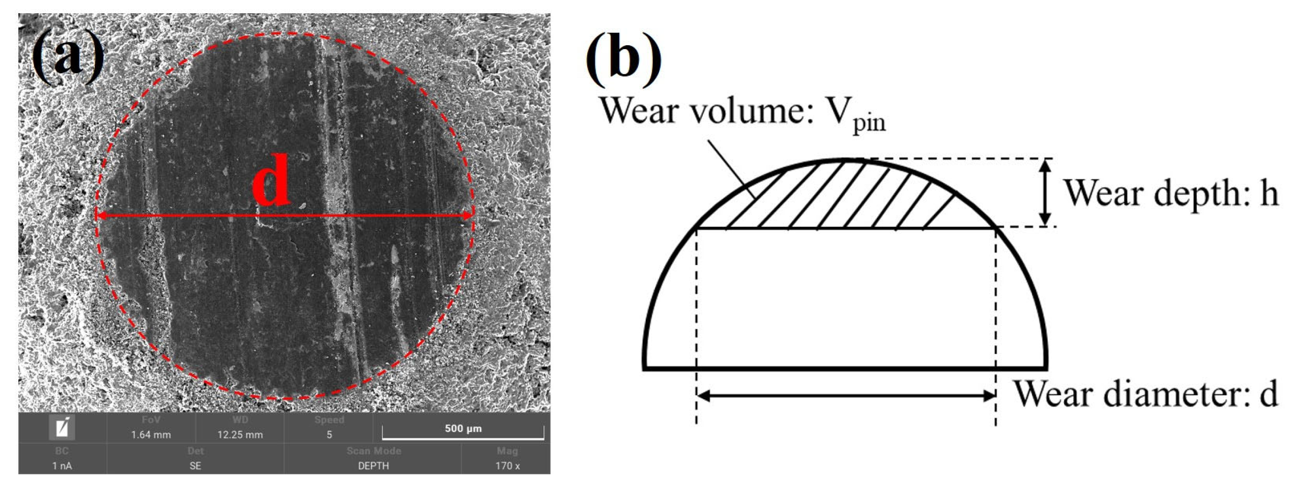 Materials 16 03517 g002 Materials 16 03517 g002