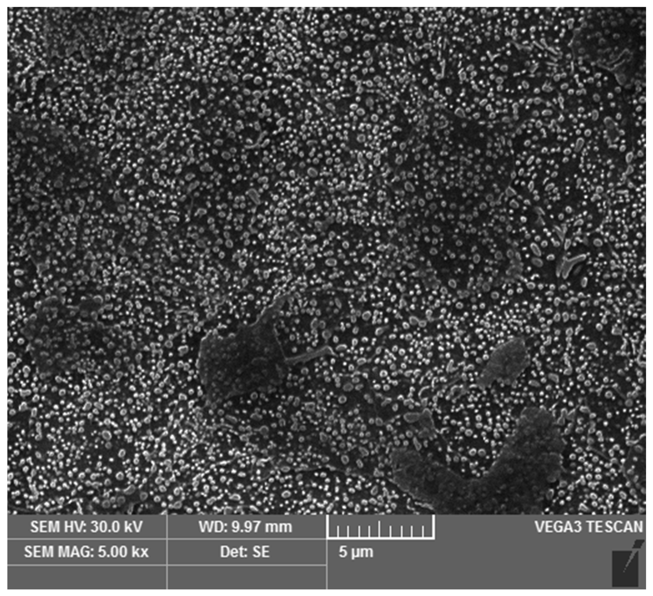 Materials 16 03523 g001