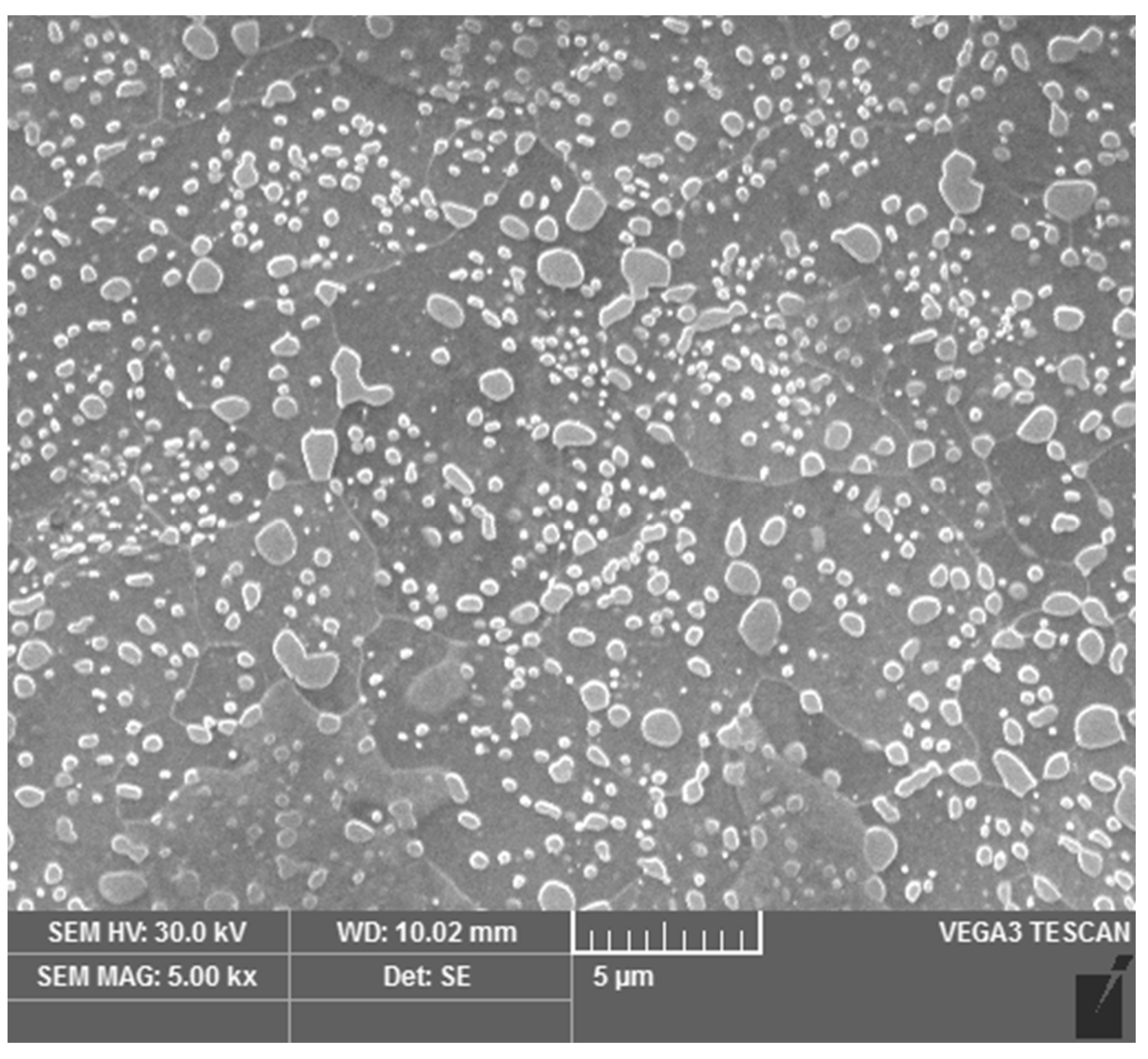 Materials 16 03523 g002